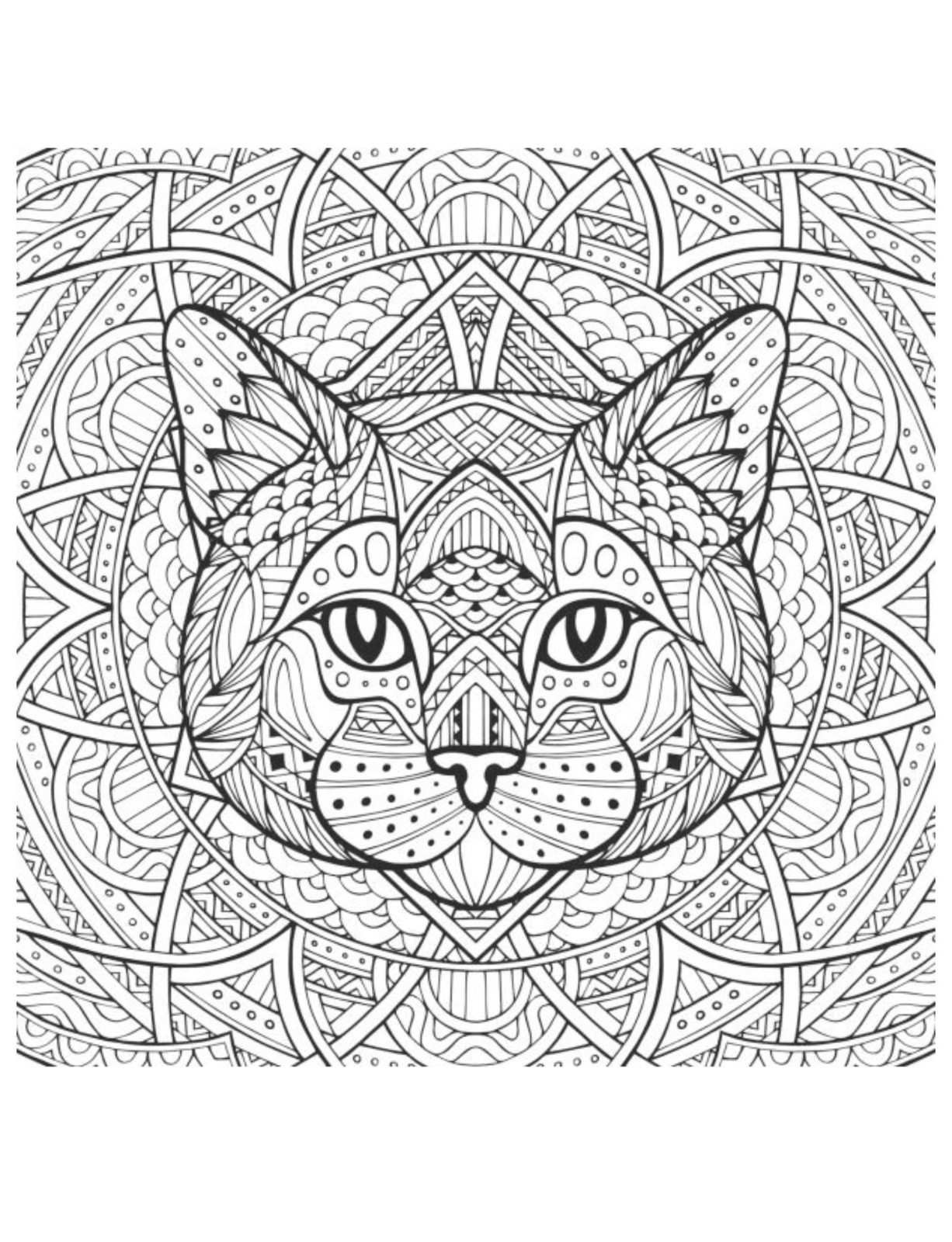 Dogs and Cats Coloring Book for All Ages 108 Pages 8.5 x 11 for All Ages