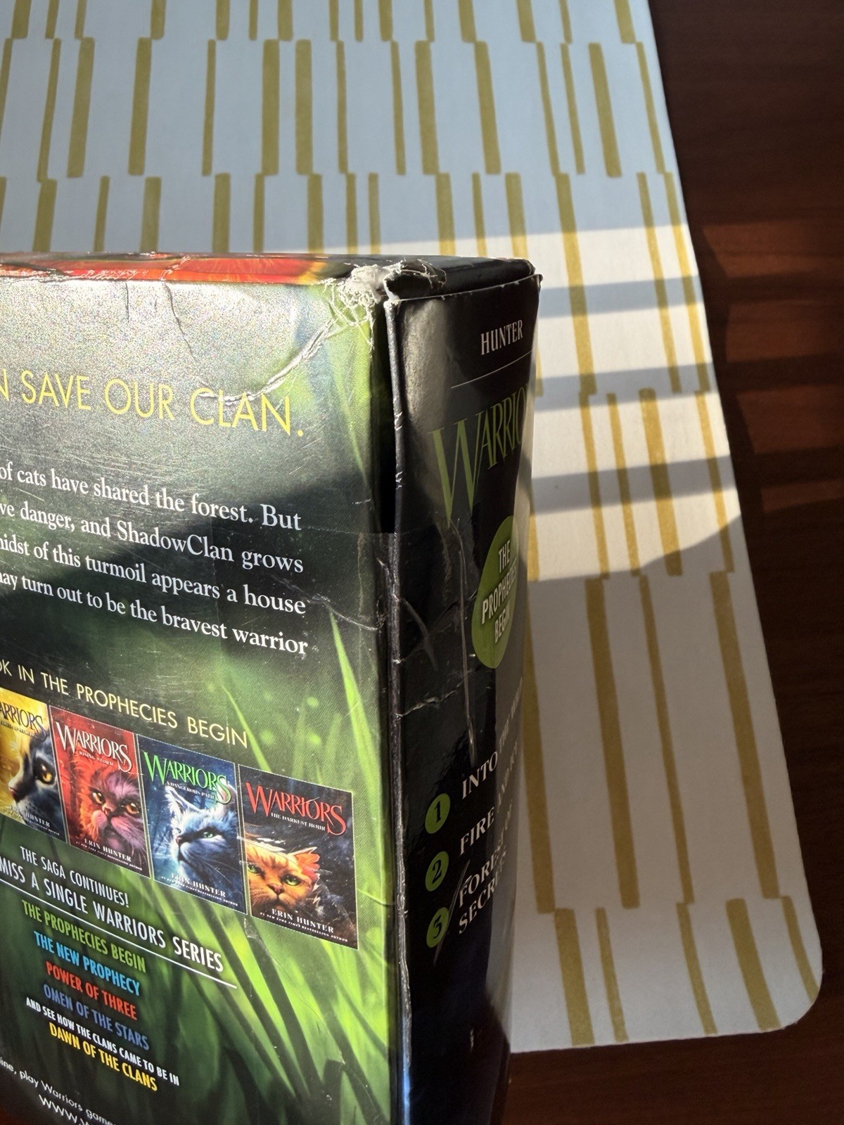 Erin Hunter Warriors: The Prophecies Begin Box Set Books 1-3 (English)