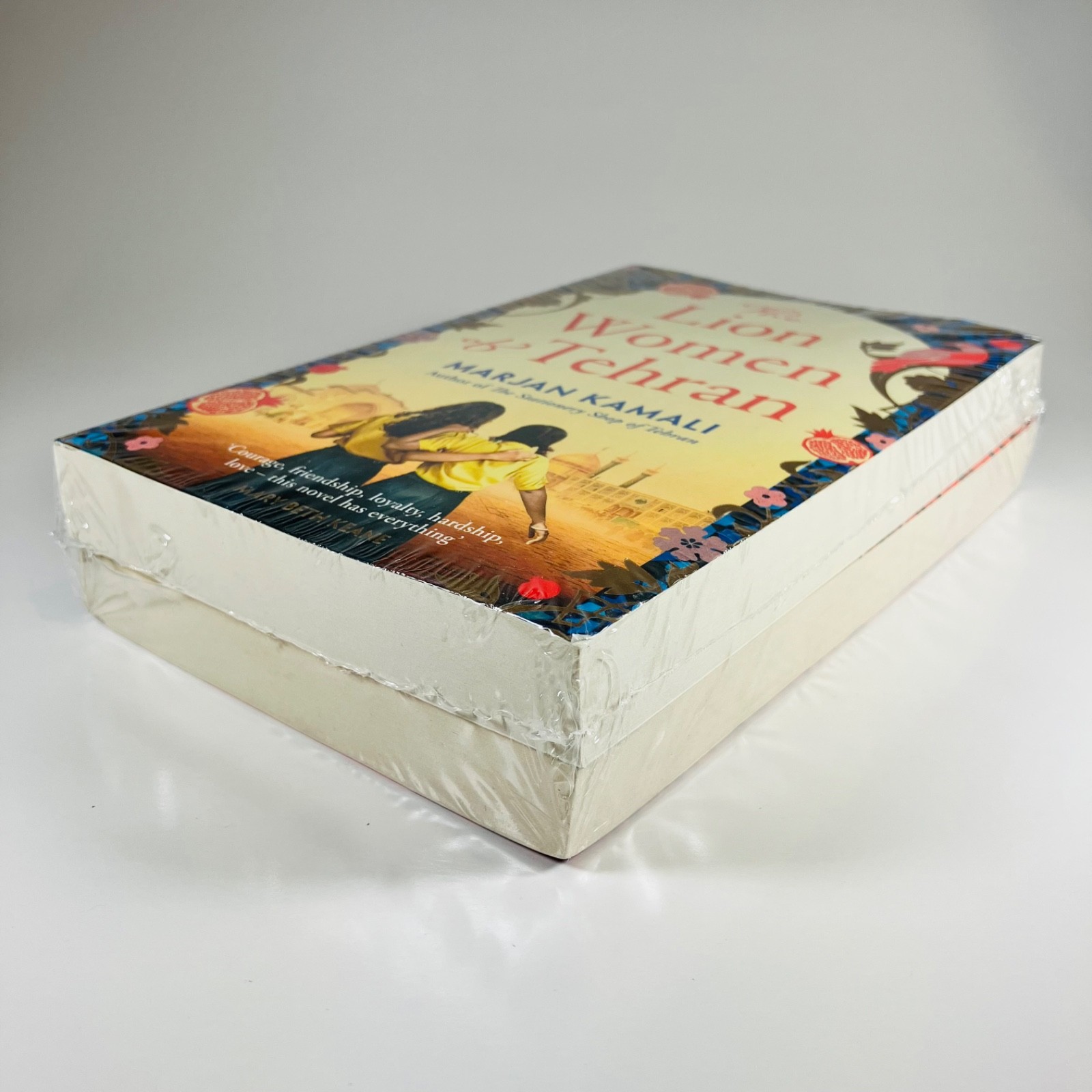 Marjan Kamali 2 Books Collection SET The Lion Women of Tehran & The Stationery