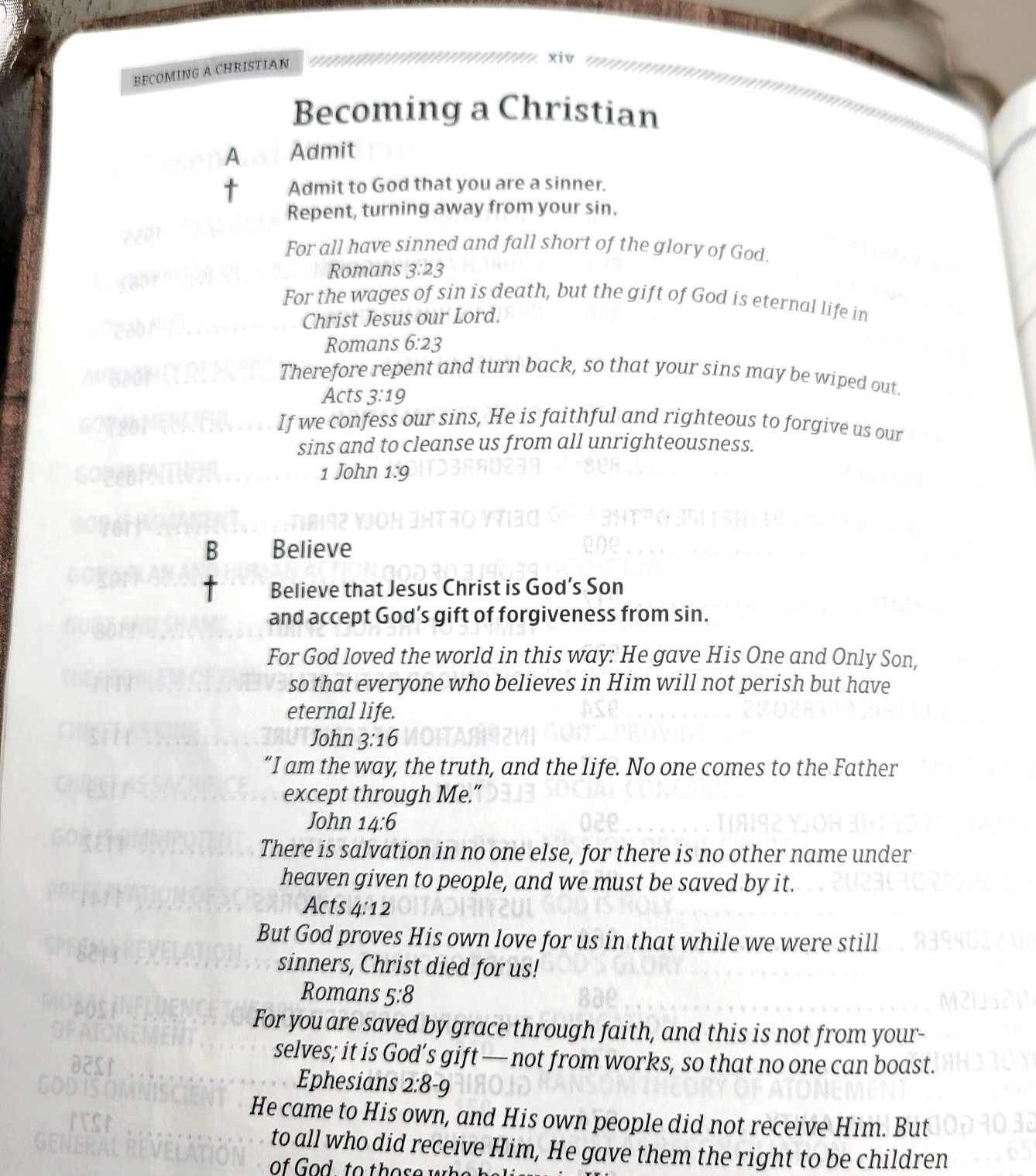 Essential Teen Study Bible : Holman Christian Standard Bible