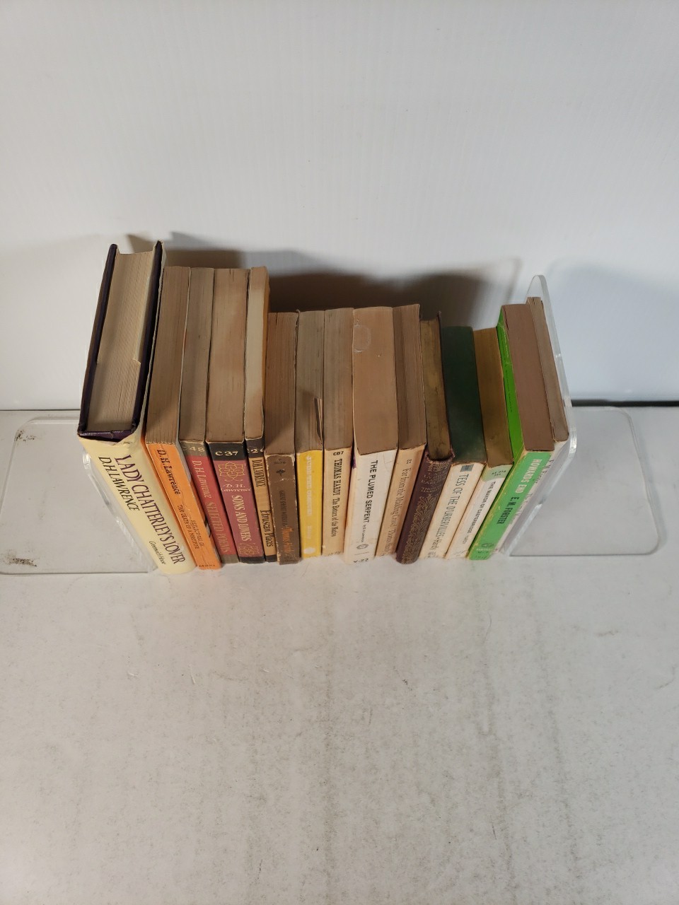 English Novelists (15 Books) D.H. Lawrence, Thomas Hardy, E.M. Forster Paperback