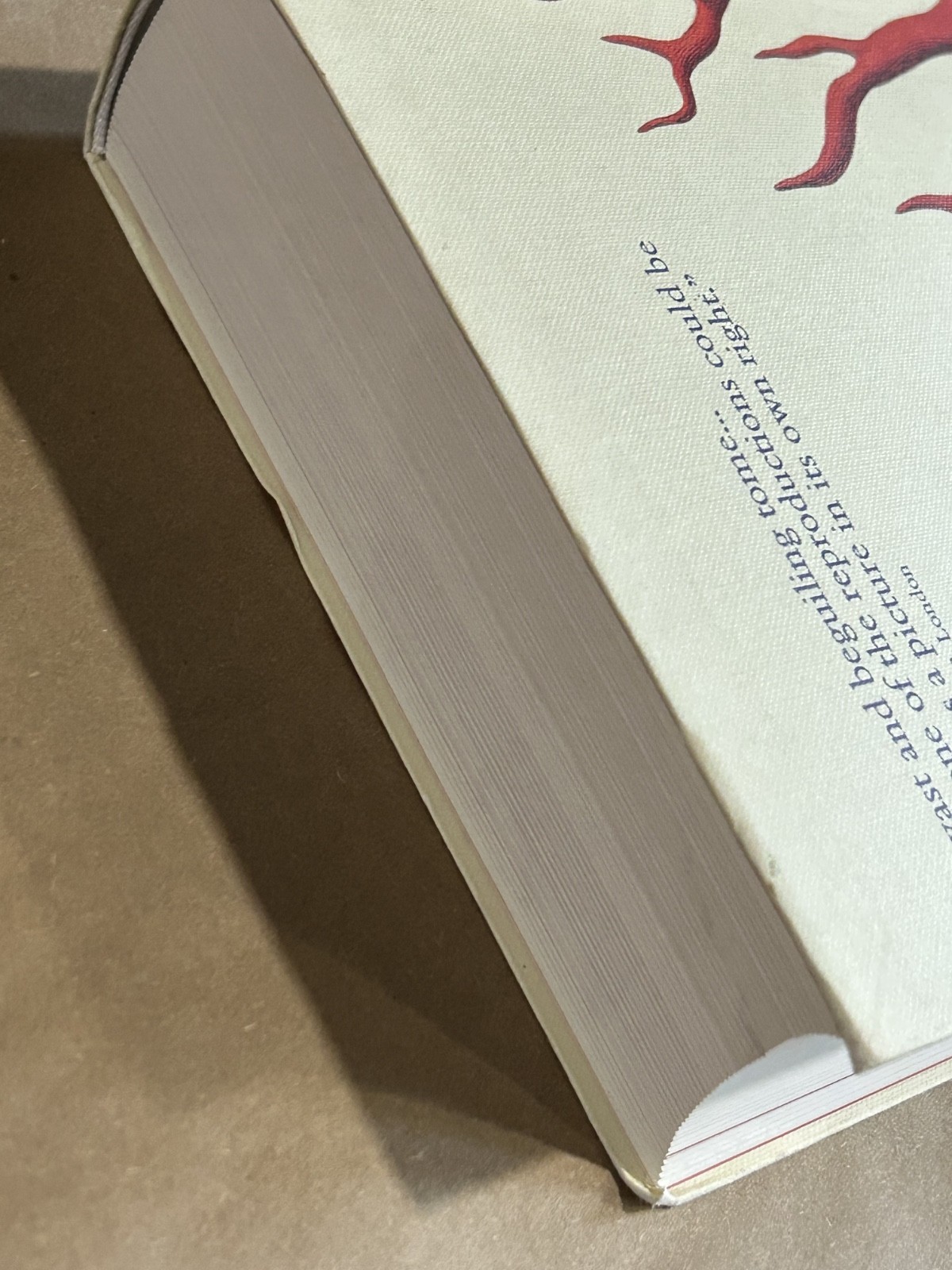 Albertus Seba Cabinet of Natural Curiosities Book Multilingual Edition Paperback