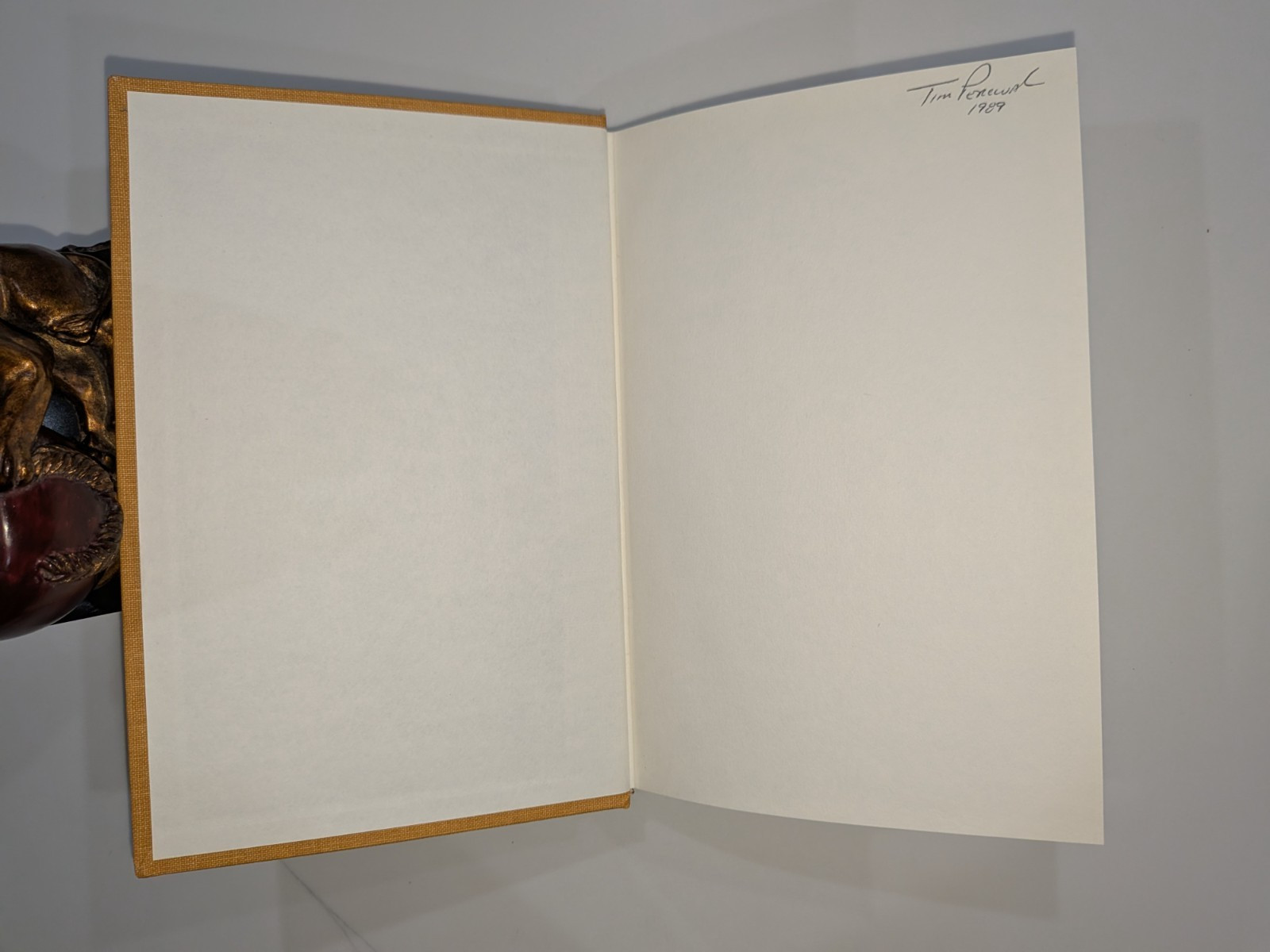 The Buchans Orebodies | 1981 GAC Special Paper 22 | Mining Geology Hardcover