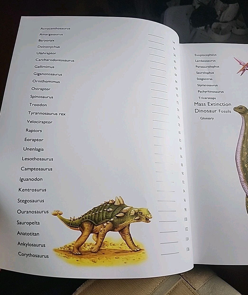 Childrens Encyclopedia of Dinosaurs Hard Cover Vision St Publishing Educational