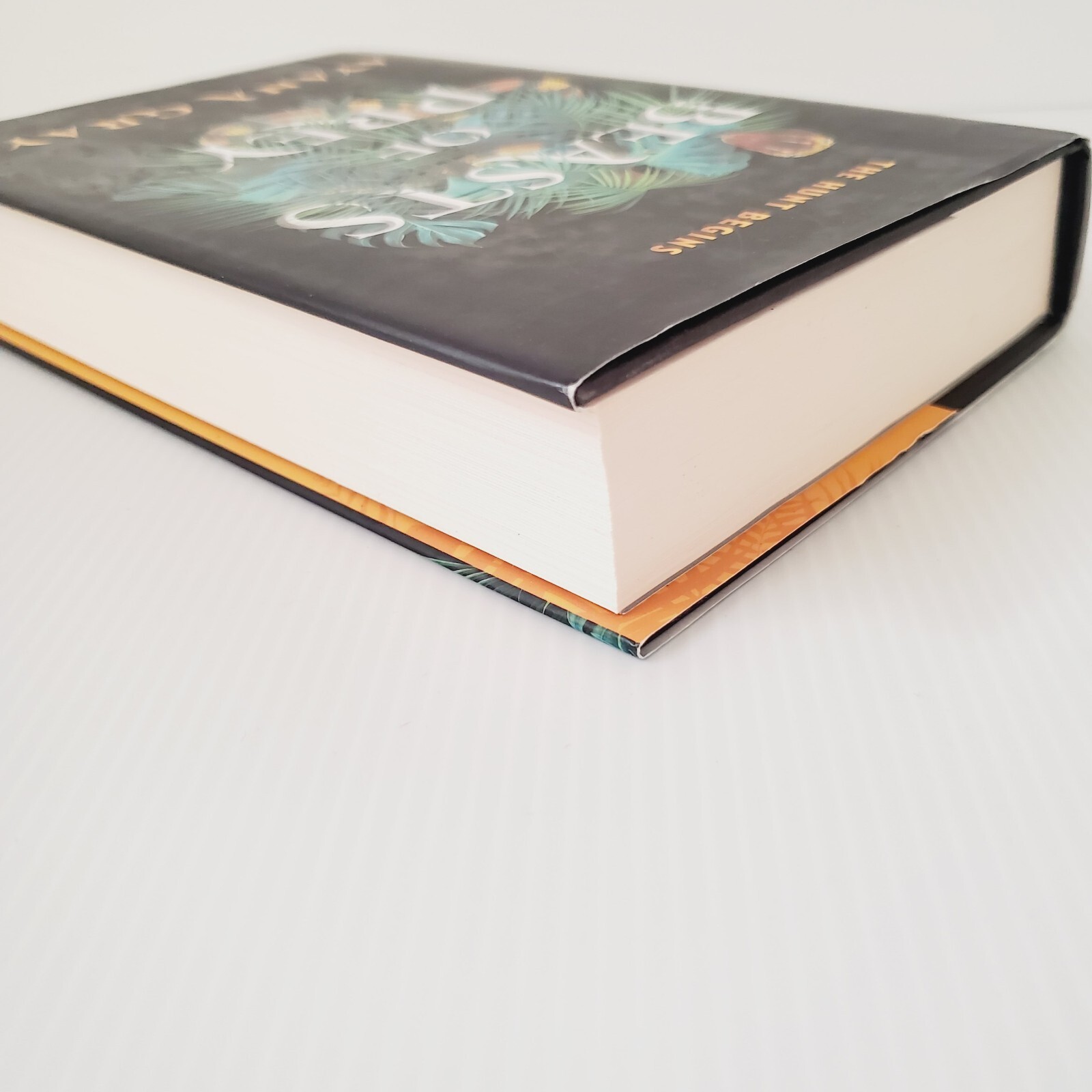 Beasts of Prey Hardcover Book By Ayana Gray Fantasy Fiction Novel