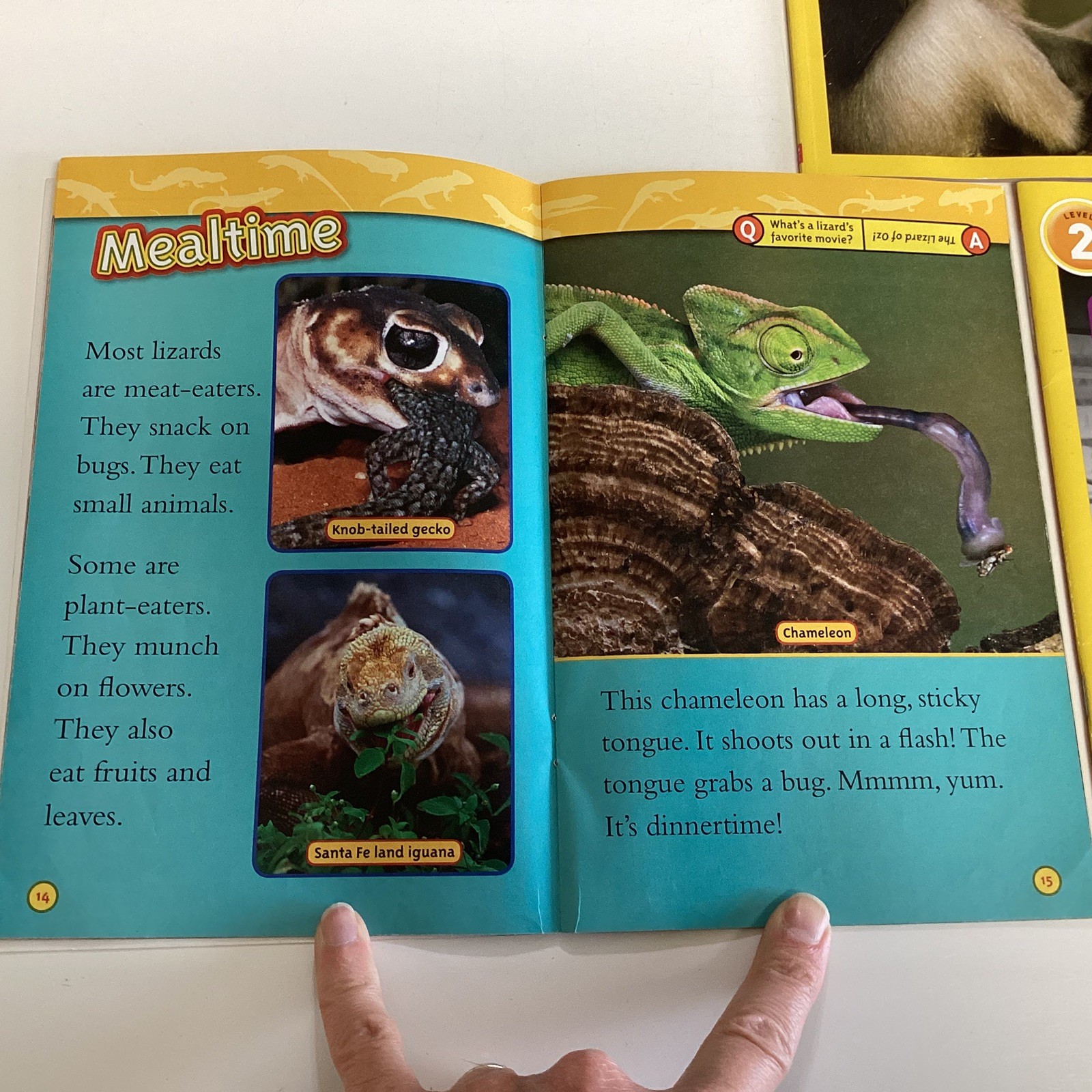 National Geographic Level 1, 2, 3 Science Readers 1st 2nd 3rd Grade 13 Book Lot