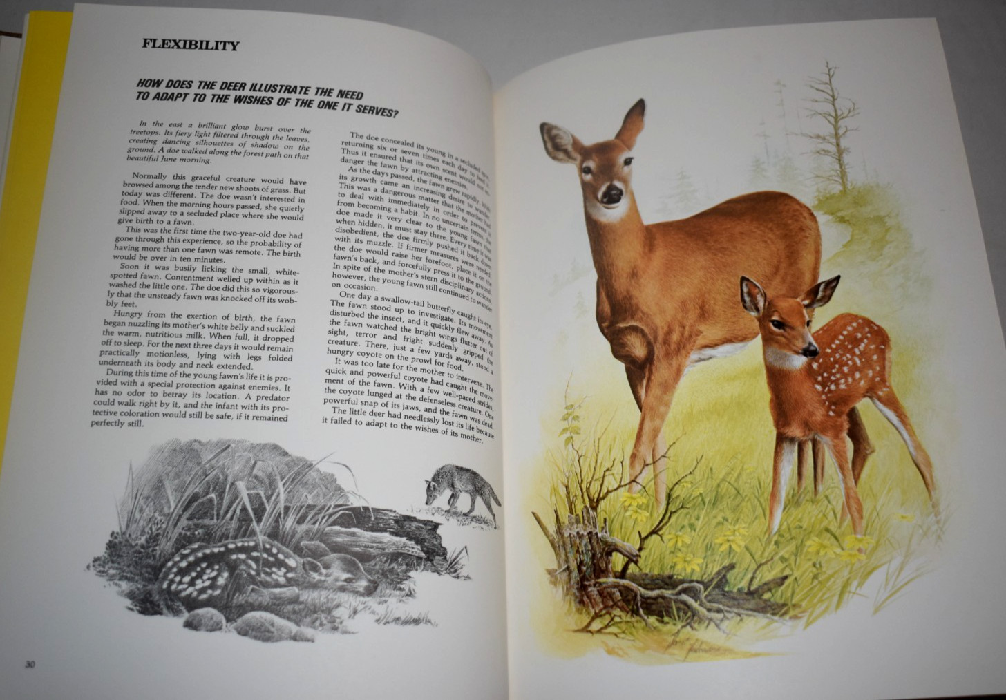 Character Sketches From The Pages of Scripture Vol 1 & 2 w/ Slipcases