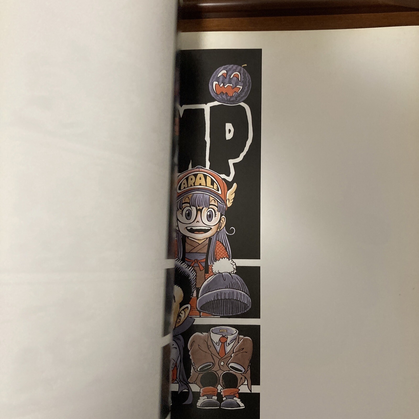 Akira Toriyama Exhibition Art Book 1993 ver. Dragon Ball Illustration