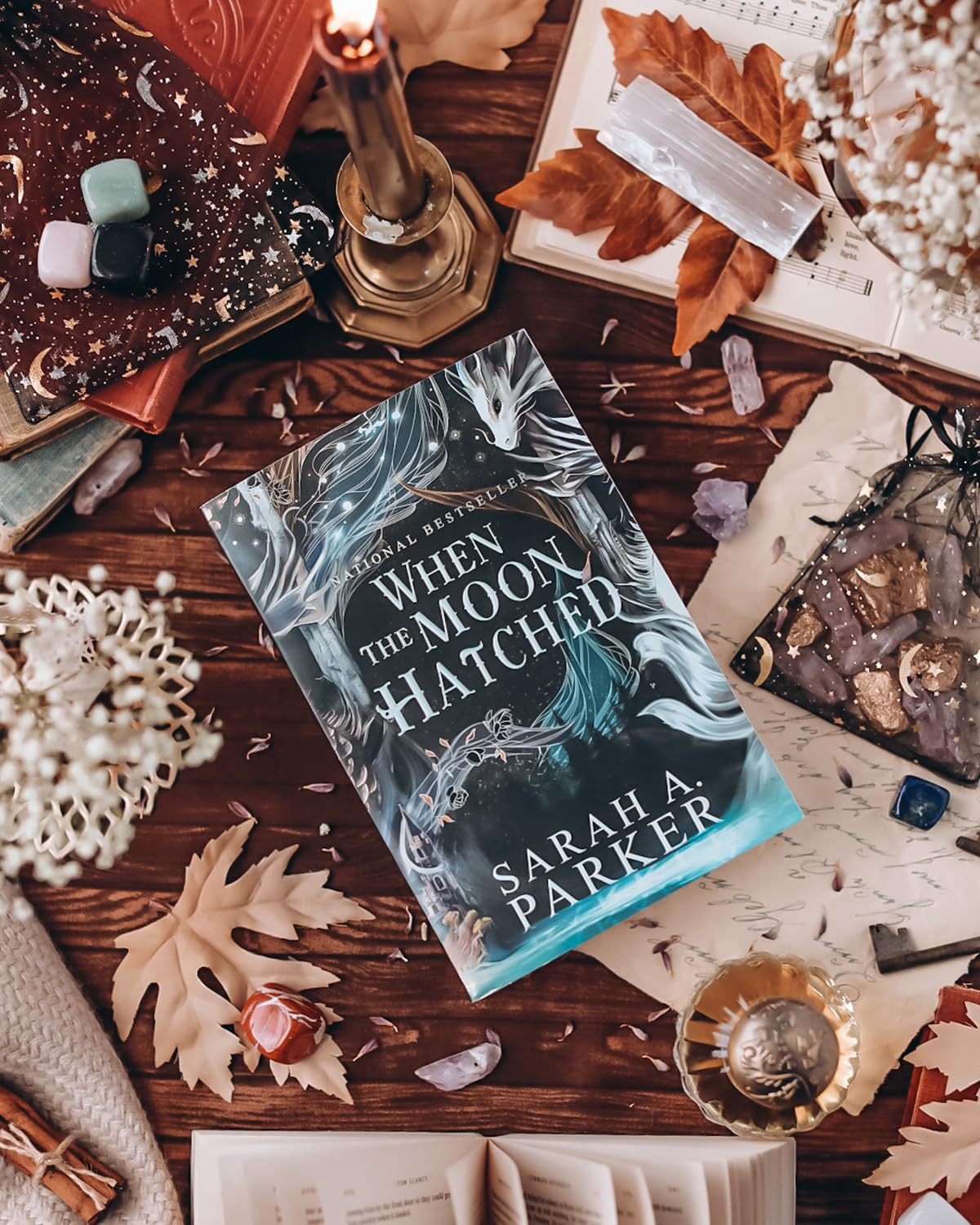 When the Moon Hatched: a Fast-Paced Romantasy The Moonfall Series, 1 -Paperback