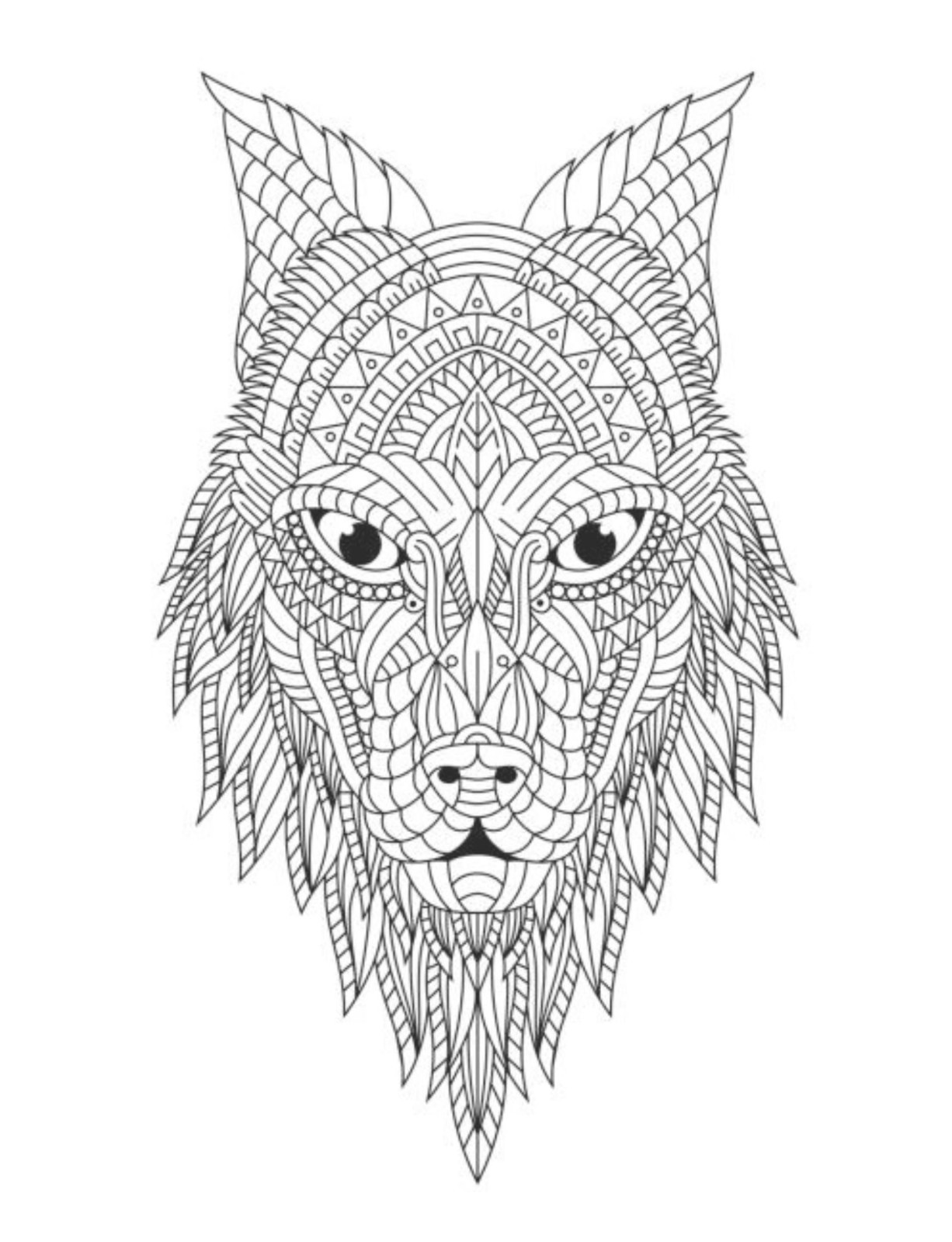 Dogs and Cats Coloring Book for All Ages 108 Pages 8.5 x 11 for All Ages