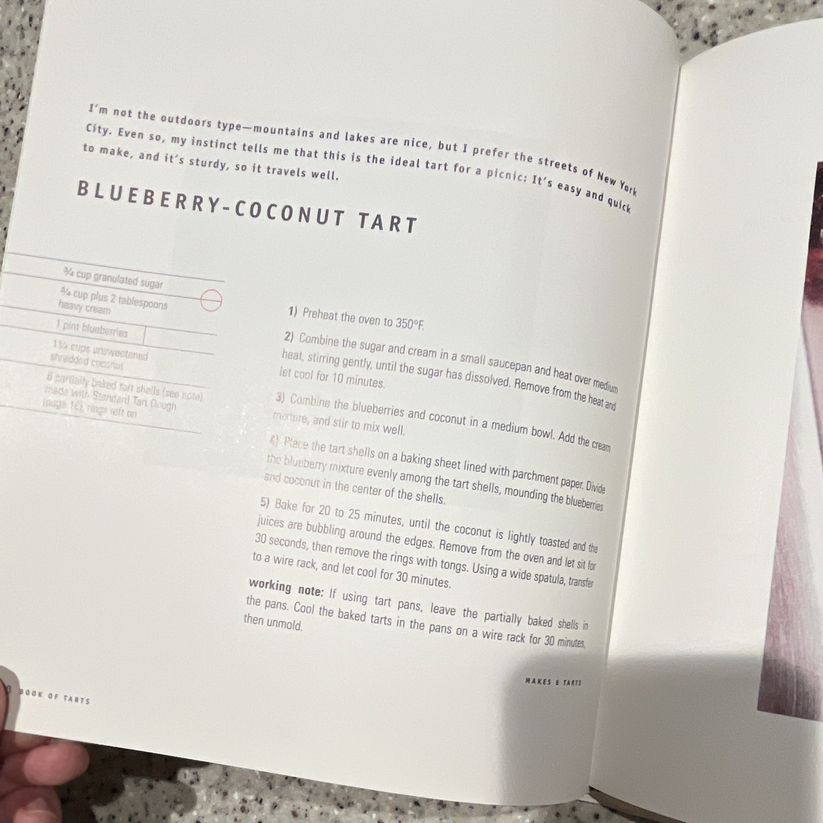 Maury Rubin Book of Tarts Bakery Cookbook HC DJ Illustrated 1995 1st Ed