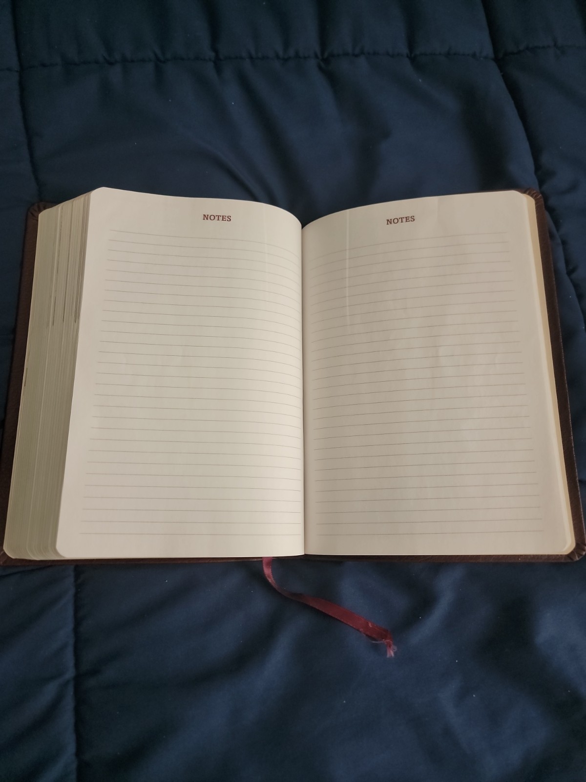 Power For Life Genuine Leather TNIV Study Bible