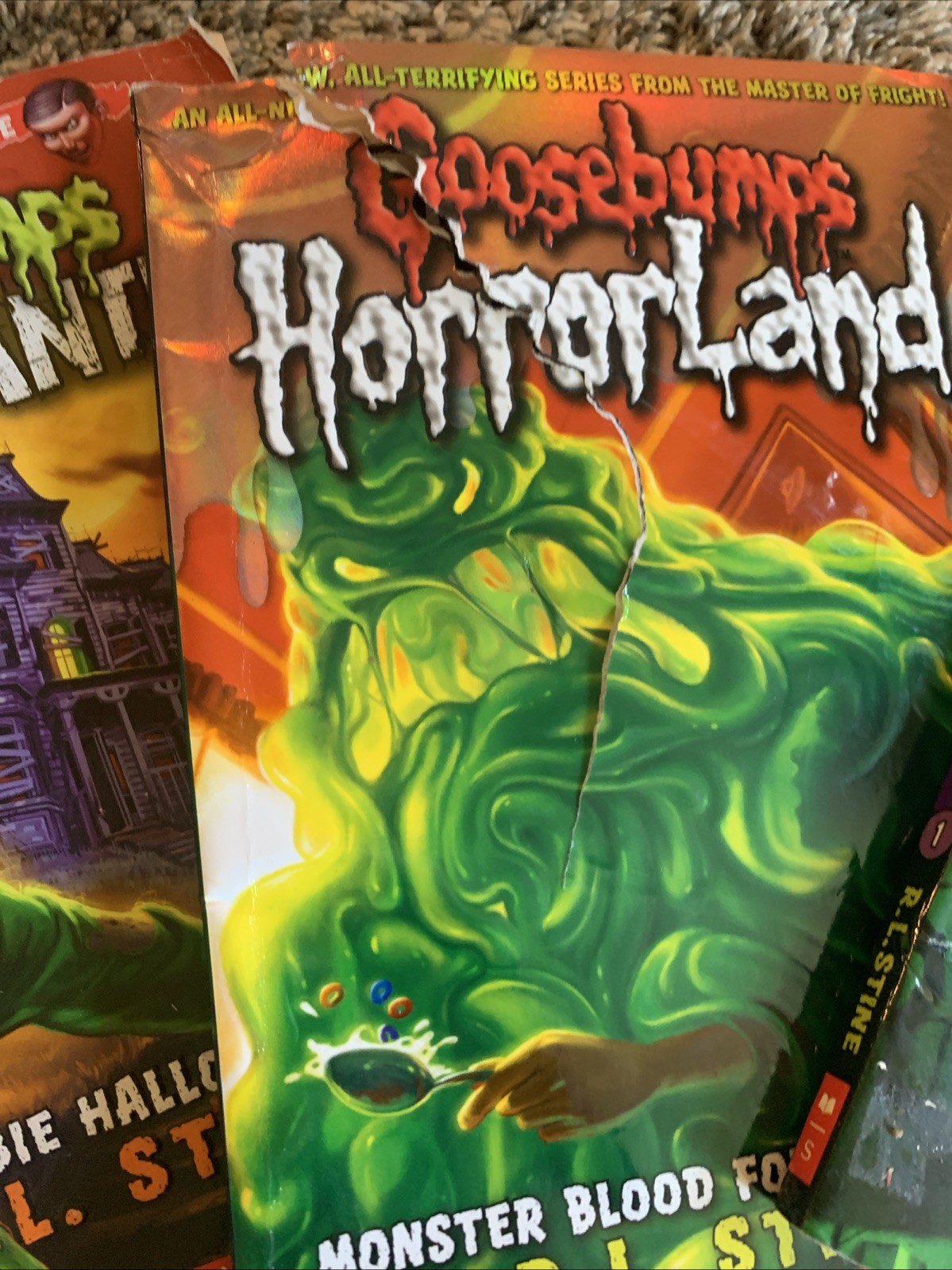 Lot of Vintage Goosebumps Books VHS DVD 27 Items Total 90s Stine R.L
