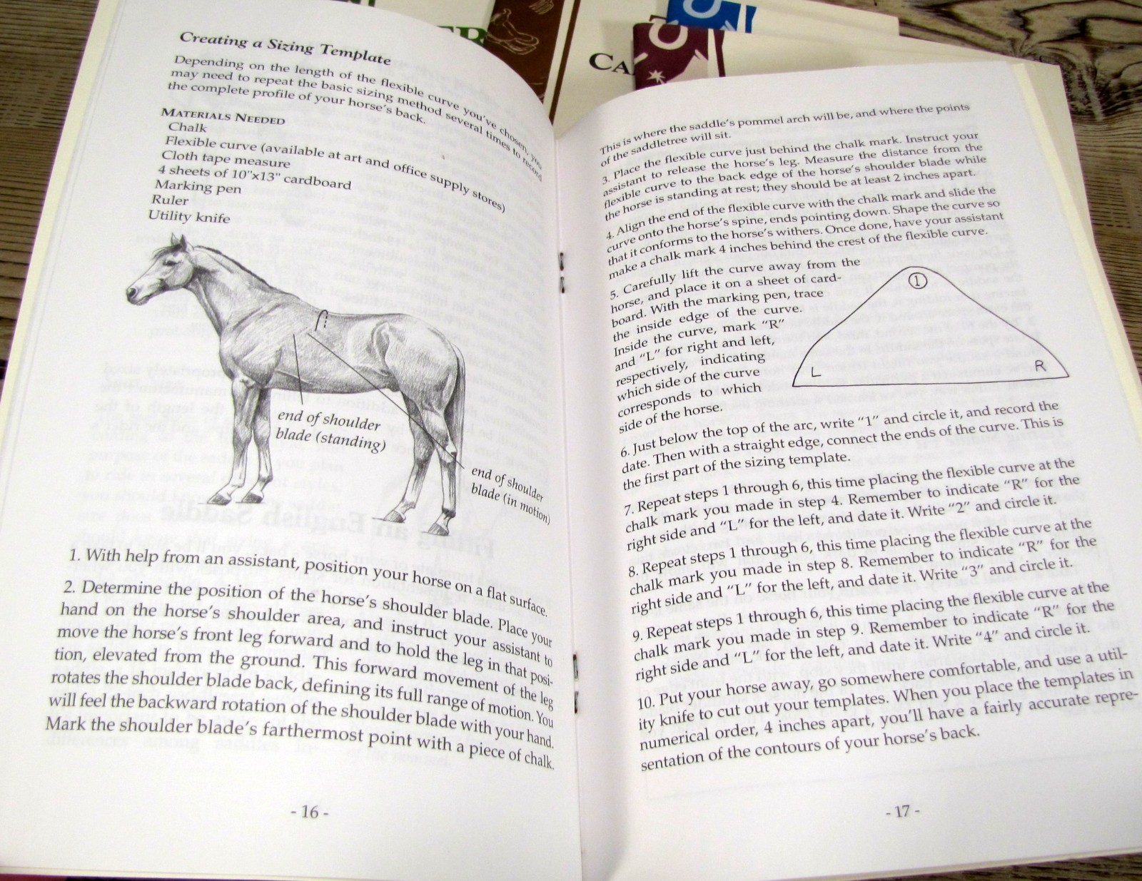 HORSE CARE BOOKLET LOT Storey Country Training Tack Saddle Hoof Trailering Fear
