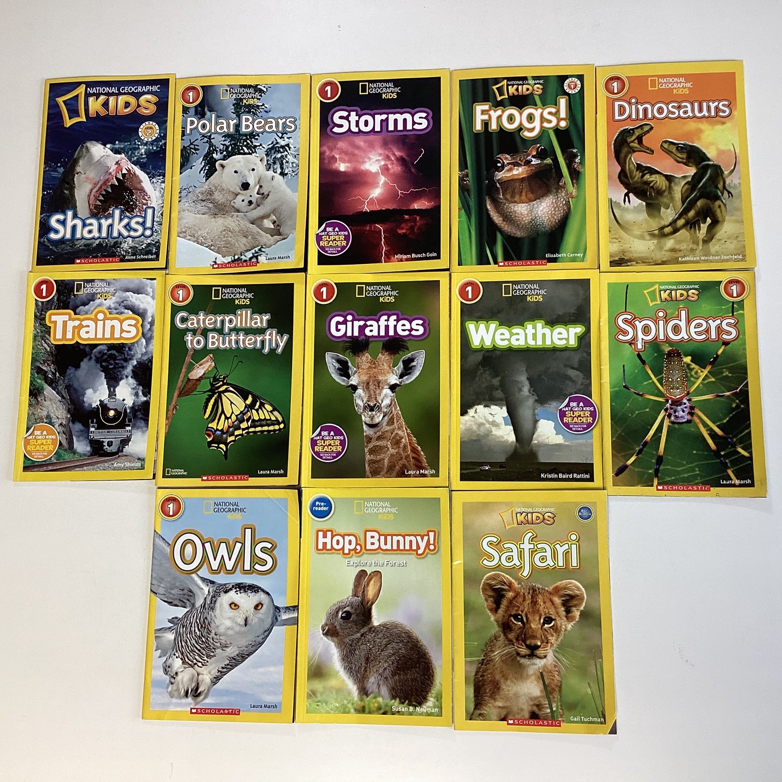 National Geographic Level 1 & 2 Readers Kindergarten 1st 2nd Grade 11 Book Lot
