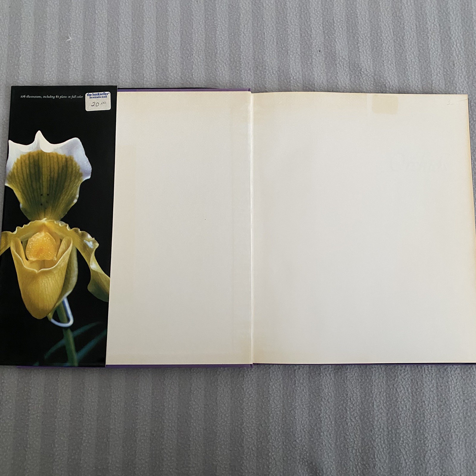 Orchids: Flowers of Romance and Mystery – VTG 1979