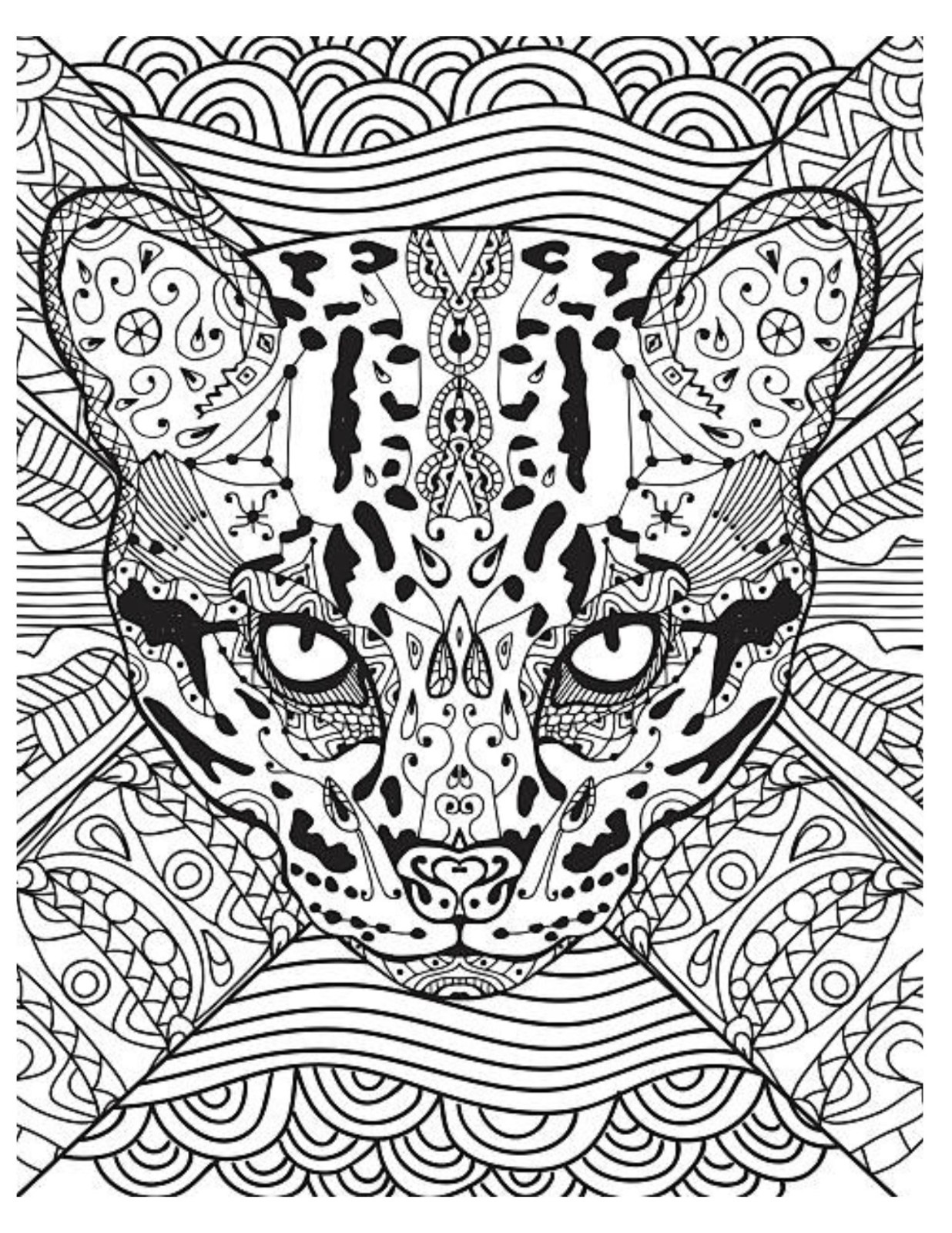 Color the Cats Adult coloring book 108 Pages 8.5 x 11 for All Ages
