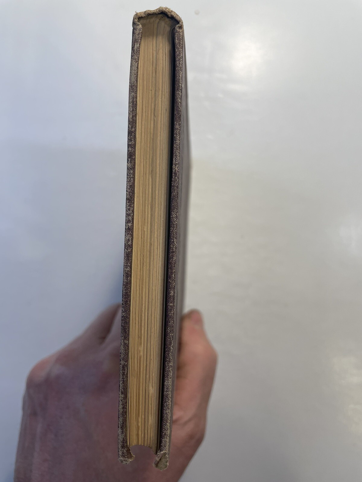 Light Mayer and Barnard D. Appleton and Company 1878 First Edition? Education