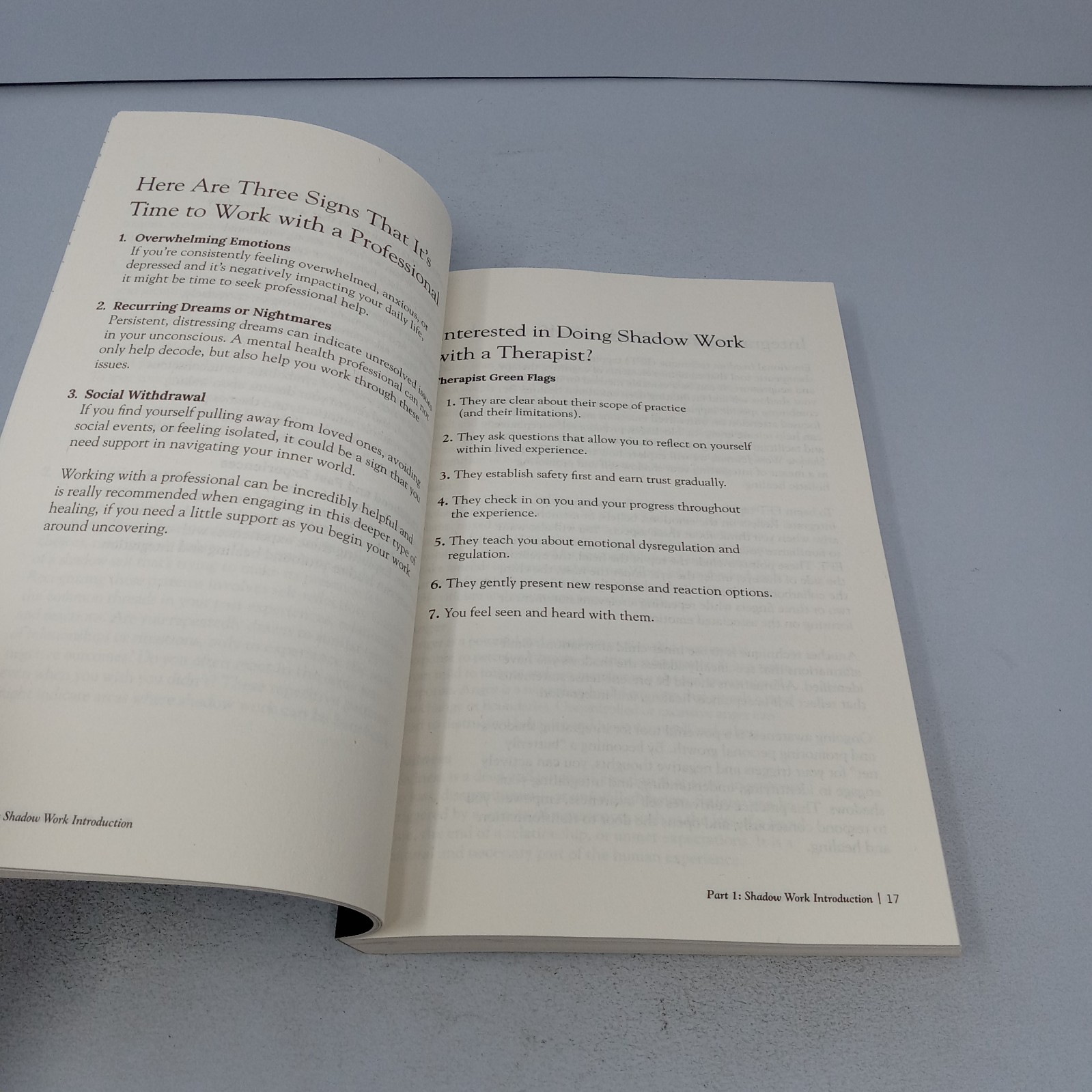 The Shadow Work Journal: 2024 Primero Sueño Press Paperback by Keila Shaheen