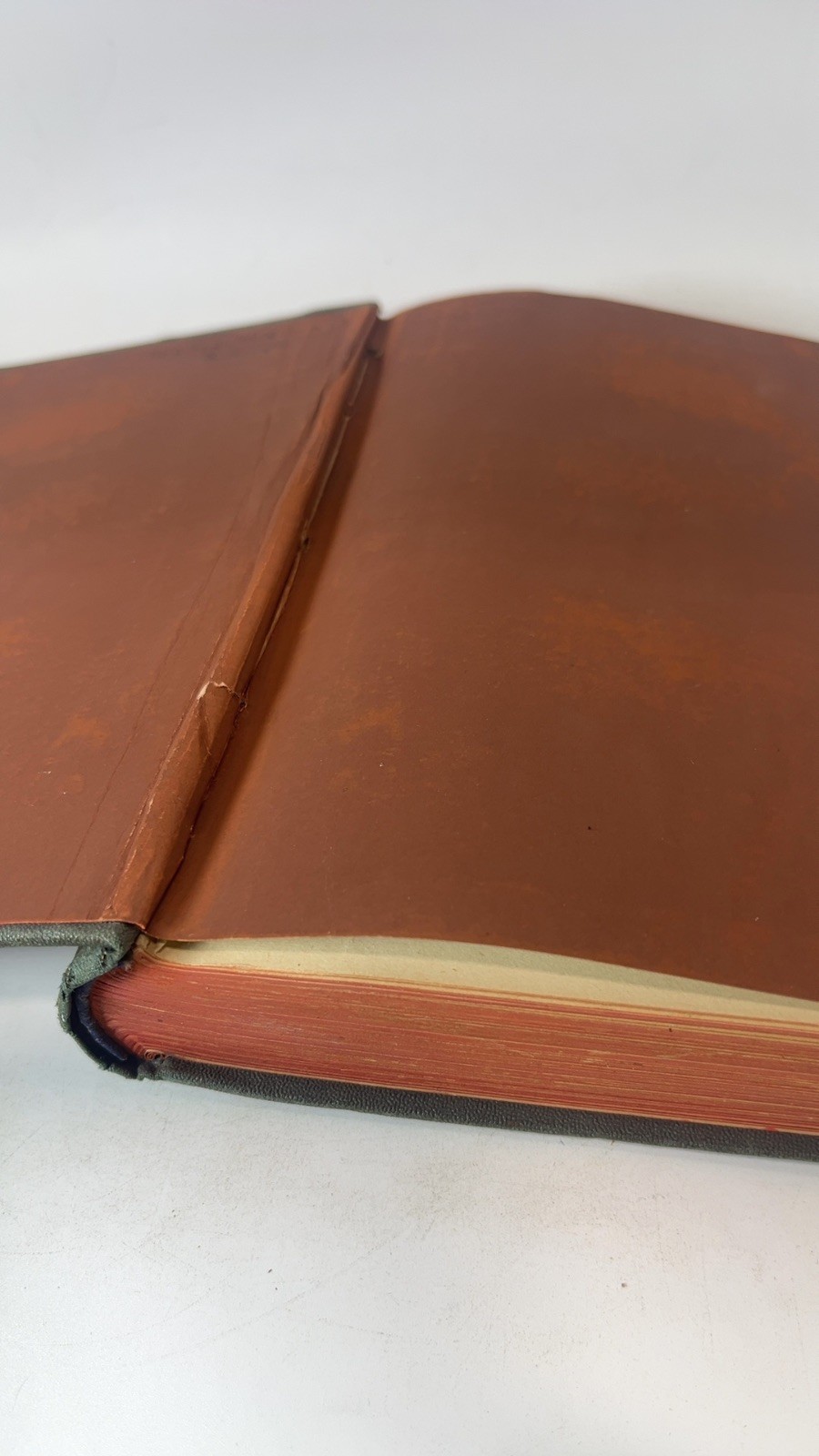 Wool-Gathering [Hardcover] Gail Hamilton 1867