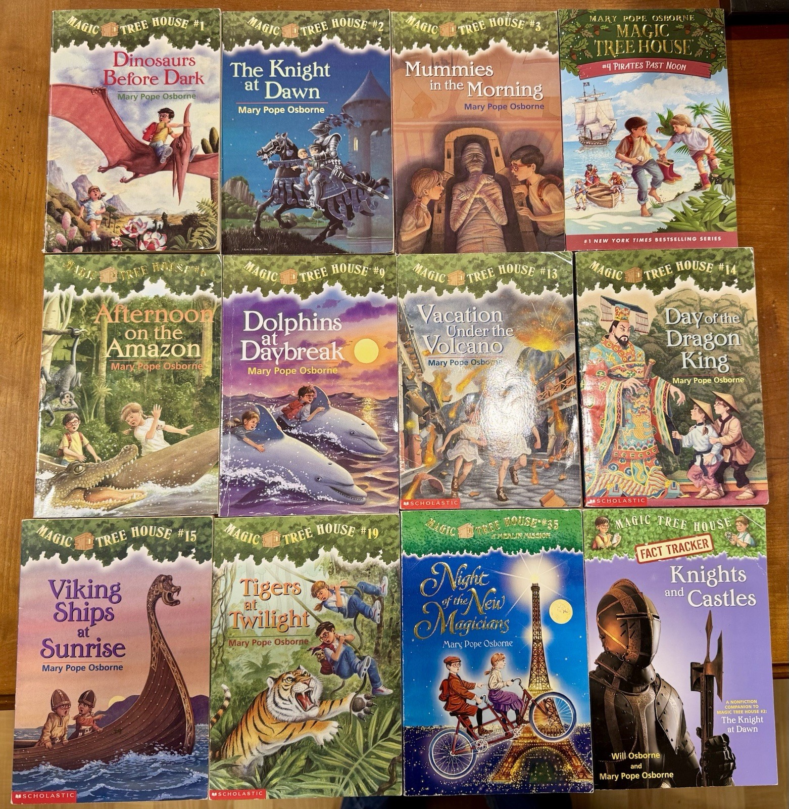 Mary Pope Osborne 12 Chapter Book Lot: Magic Tree House