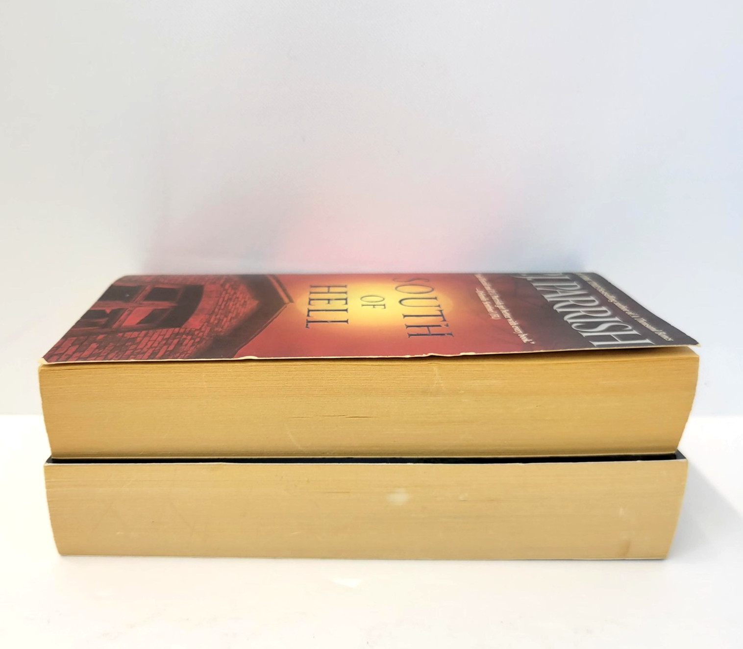 Dark Of The Moon & South Of Hell P.J. Parrish 2 Mass Market PB Lot Crime Mystery