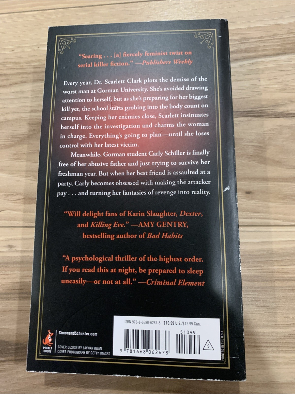 They Never Learn by Layne Fargo (2024, Us-Tall Rack Paperback)