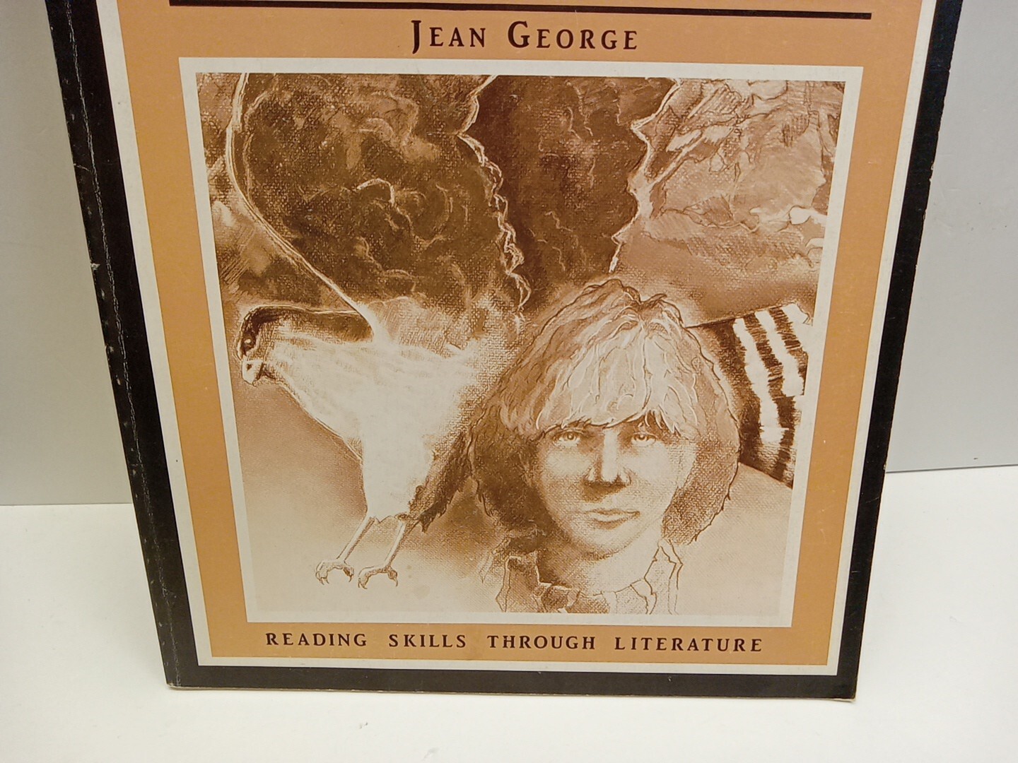 My Side of the Mountain By Jean George – Portals to Reading Workbook (PB, 1984)
