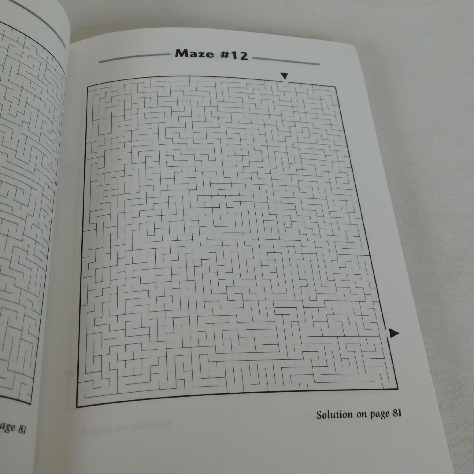 Picture This! Mazes Conceptis Puzzles 2005 Completed Mazes Create a Picture Kids