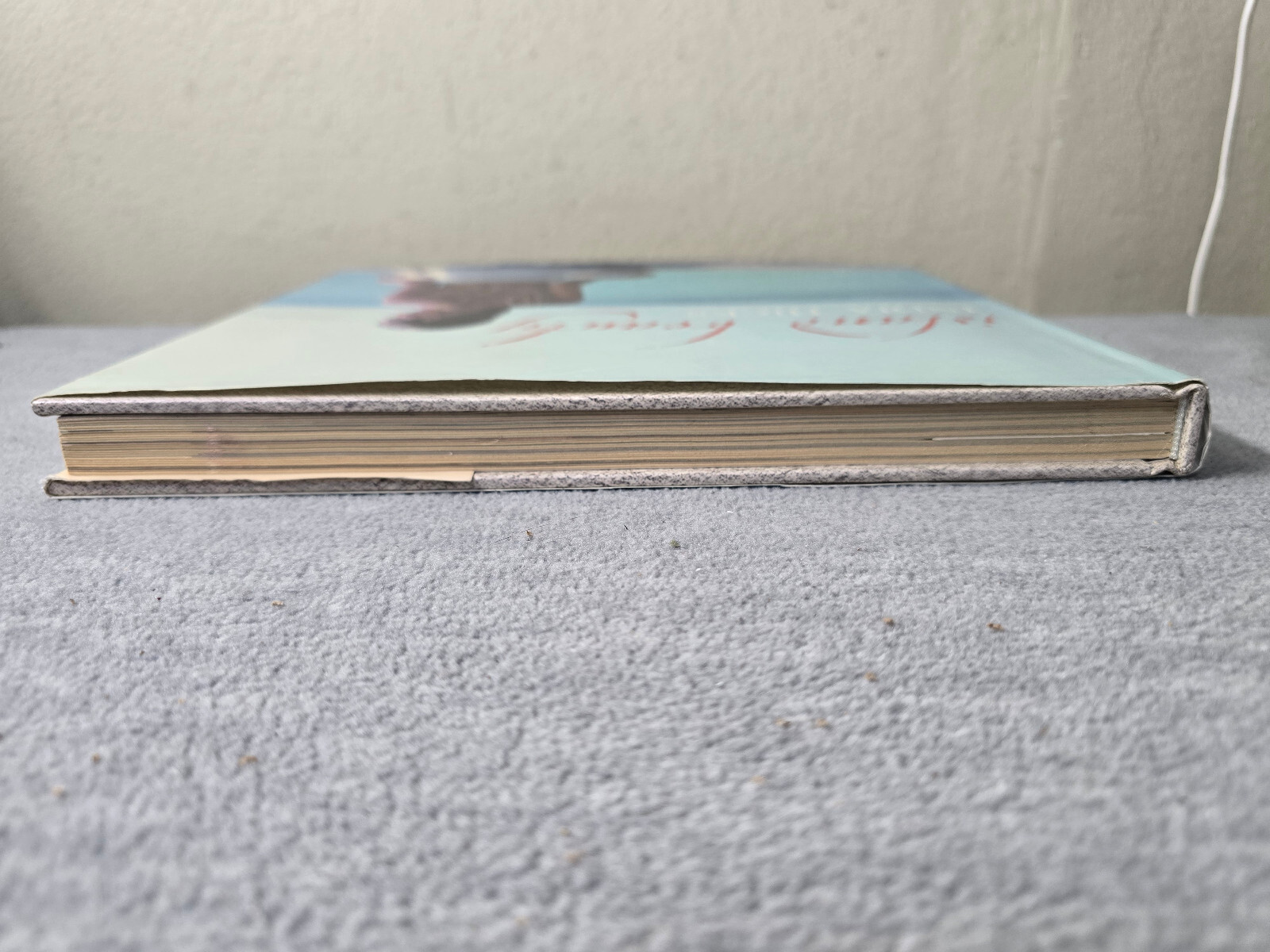 Island Beauty Hardcover India Hicks Hardcover