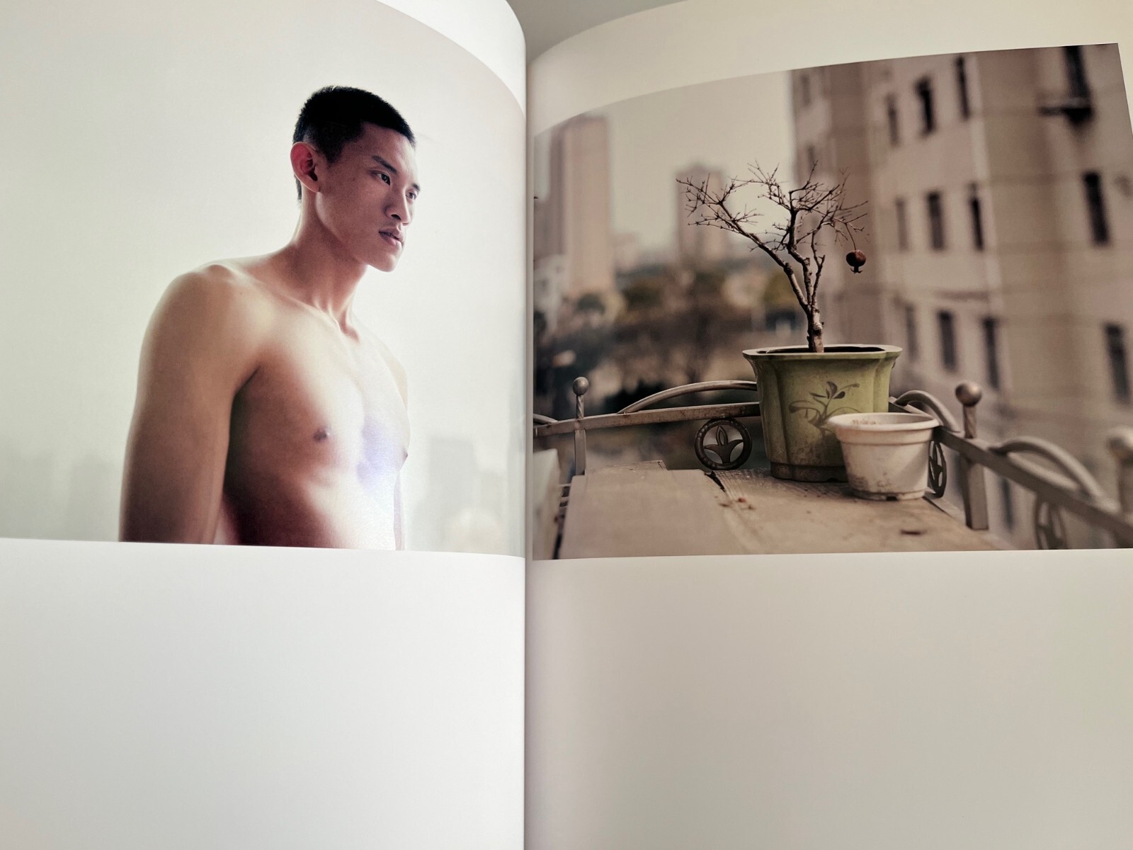 Shen Wei ~ Chinese Sentiment ~ photography, Peter Hessler, limited Edition