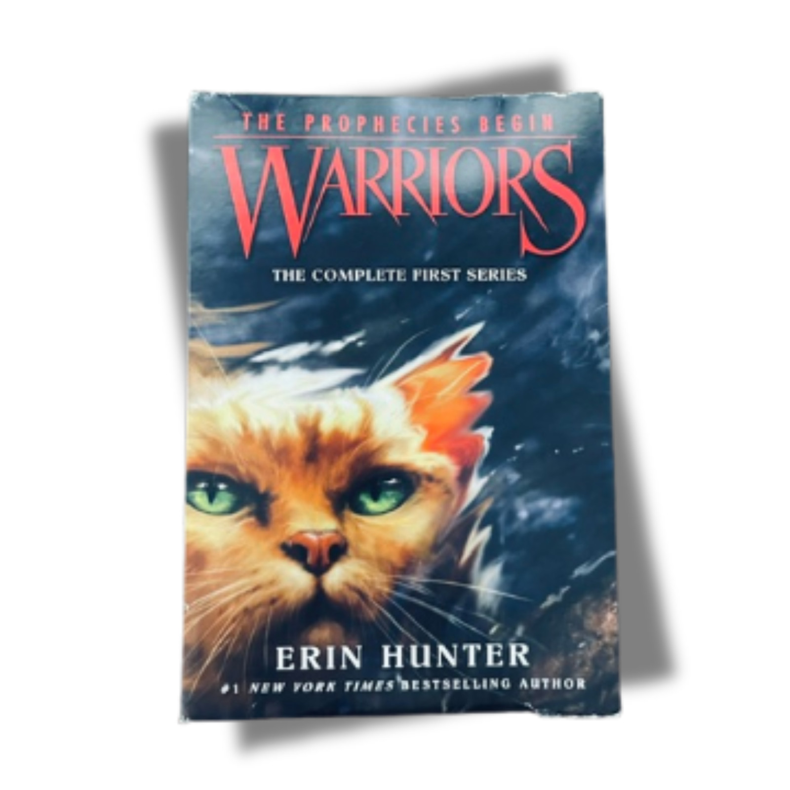 WARRIORS The Prophecies Begin | Complete 6 Book Set | Erin Hunter Fantasy Series