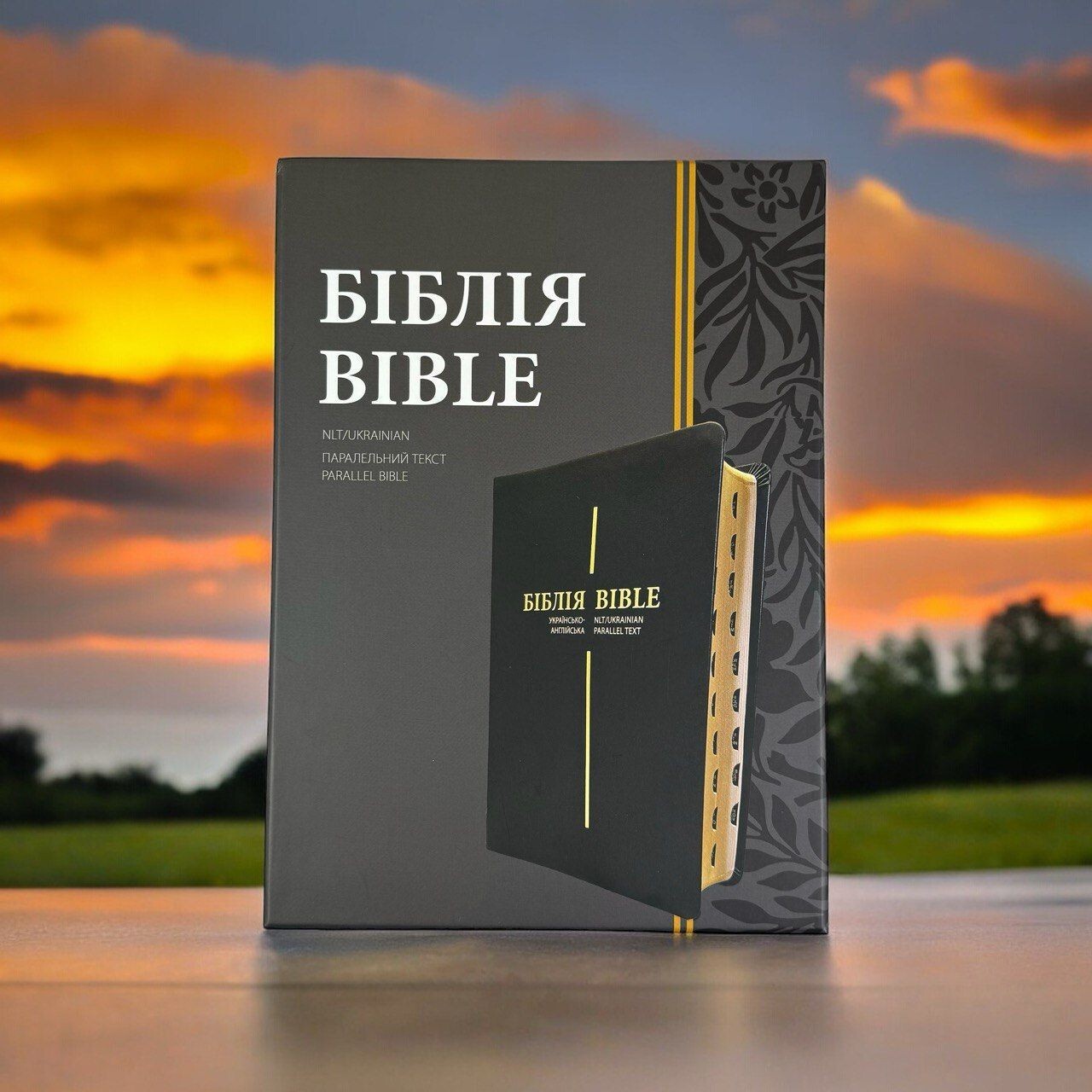 Ukrainian-English Bible parallel text NLT/Ogienka – Українсько-Англійська Біблія