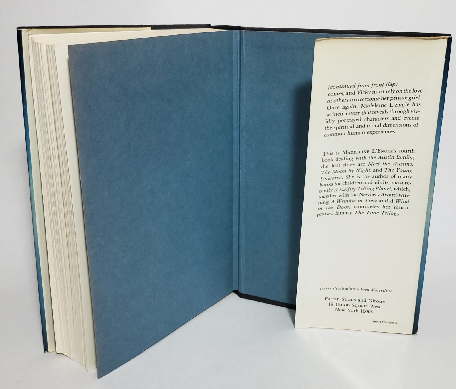 A Ring of Endless Light Madeleine L’Engle 1980 First Edition First Print HC$DJ