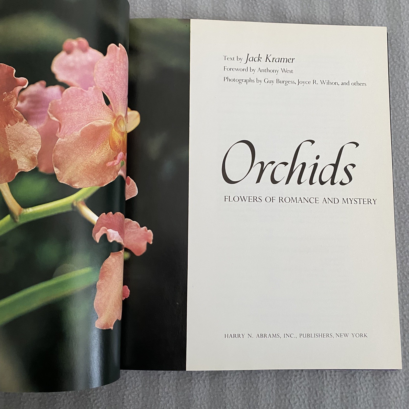 Orchids: Flowers of Romance and Mystery – VTG 1979
