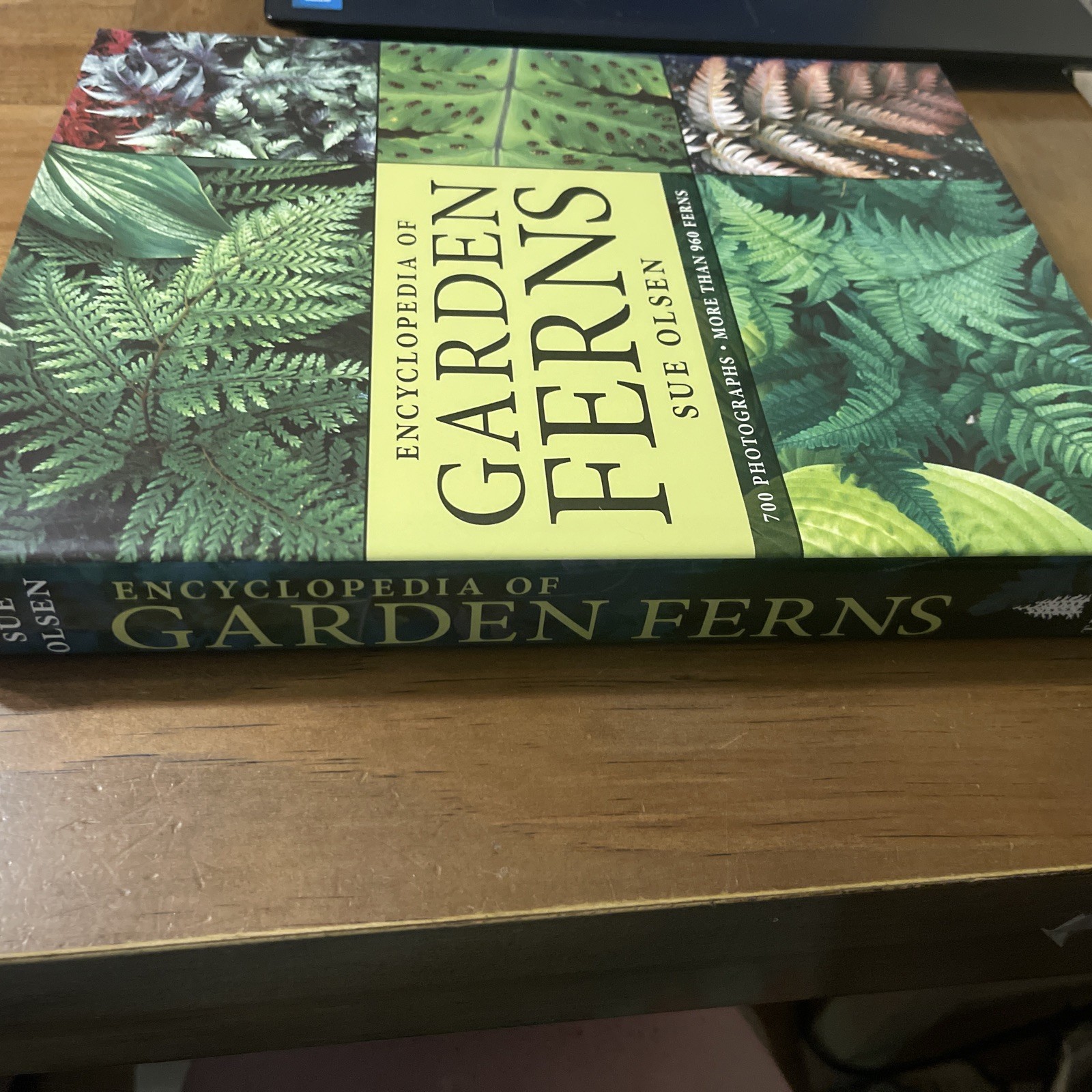Encyclopedia of Garden Ferns by Sue Olsen (2007, Hardcover)