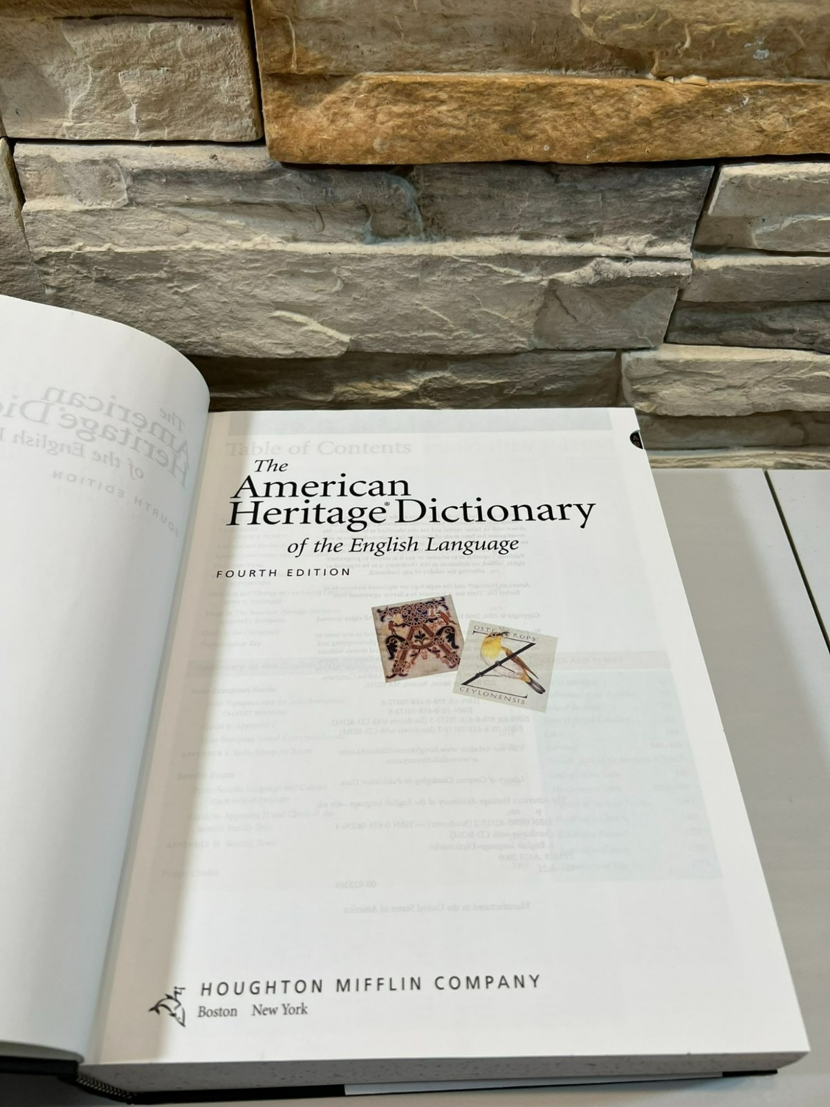 The American Heritage Dictionary of The English Language Various Authors 2006