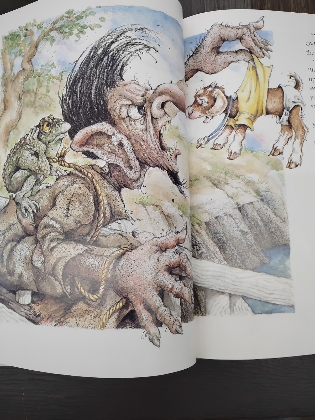 The Three Billy Goats Gruff – Paperback By Stevens, Janet – VERY GOOD