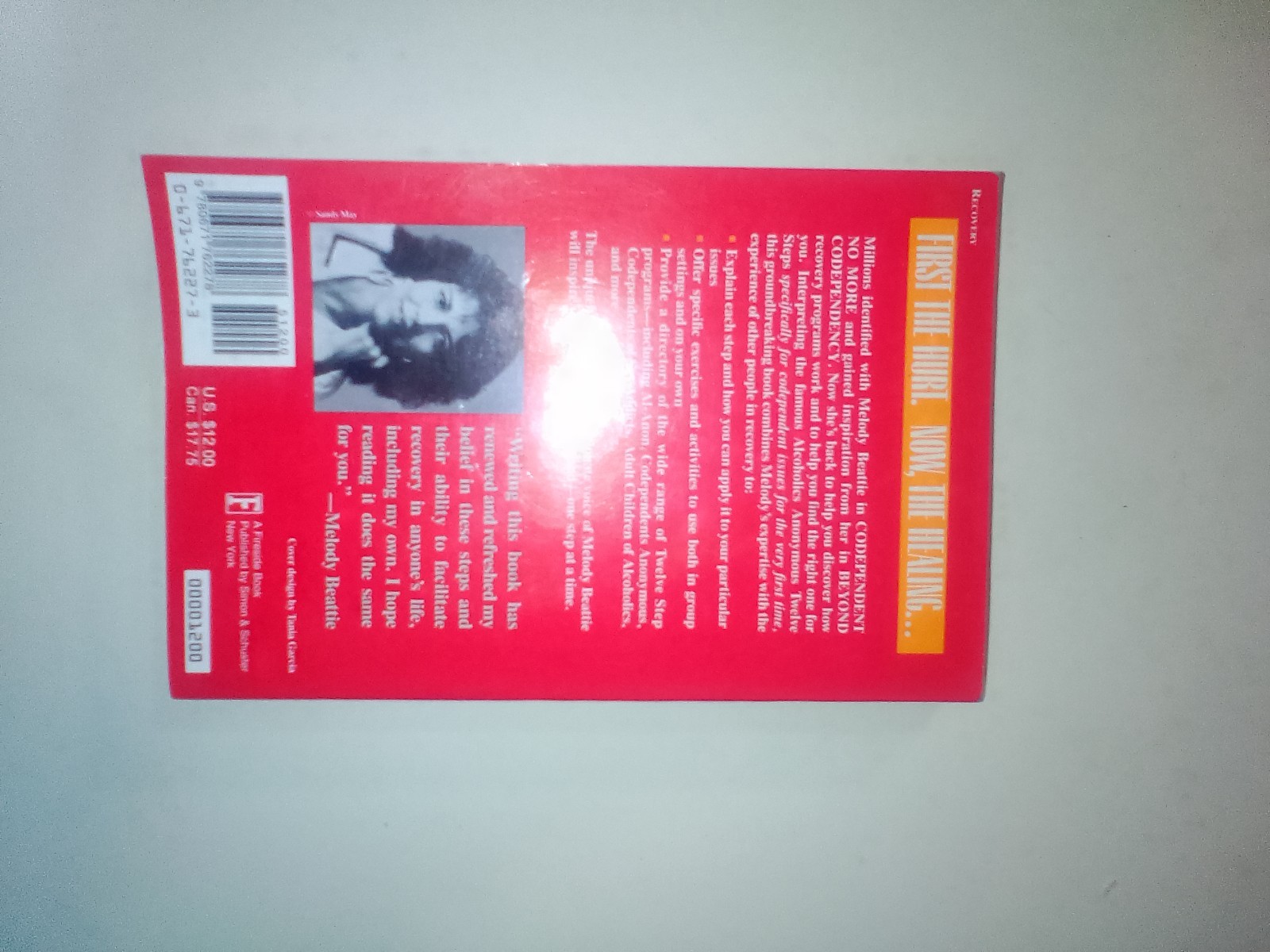Melody Beattie Codependents‘ Guide to the Twelve Steps Paperback Self-Help