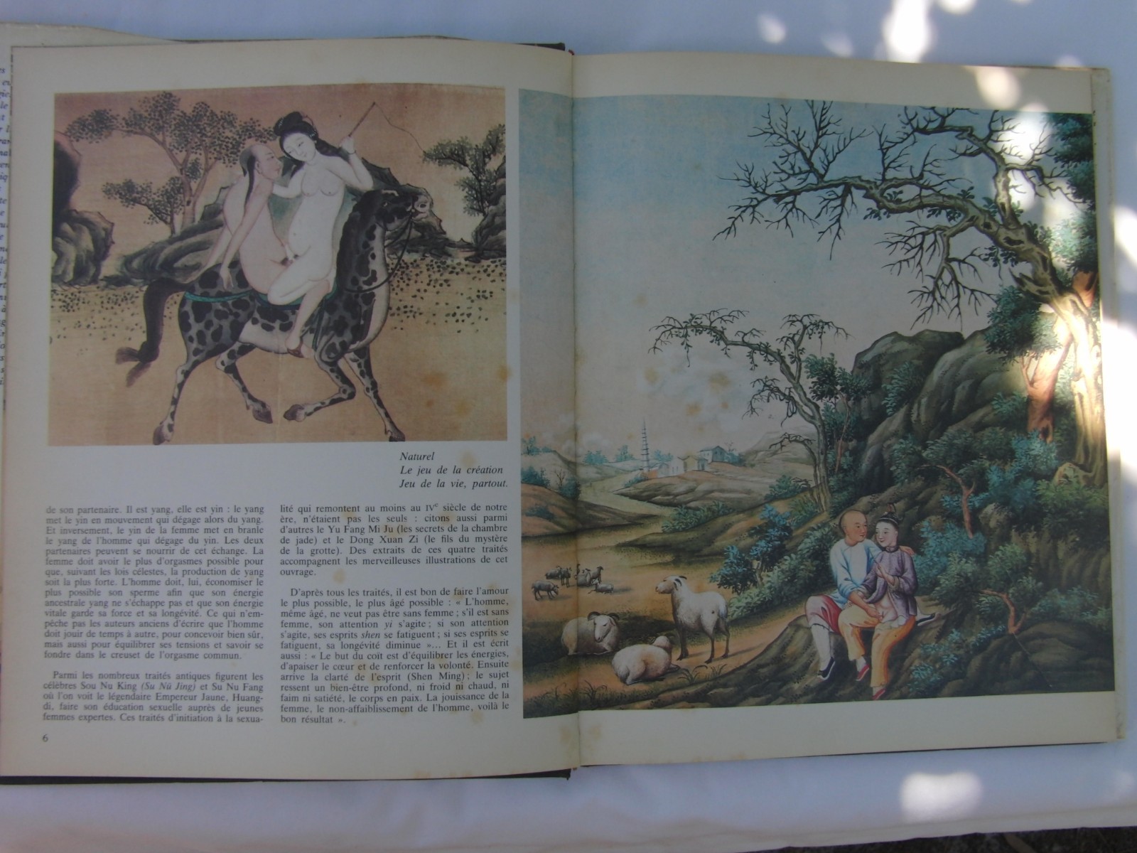 „L’EROTISME CHINOIS“ HARDCOVER BOOK (IN FRENCH)-BEAUTIFUL ILLUSTRATIONS-96 PAGES