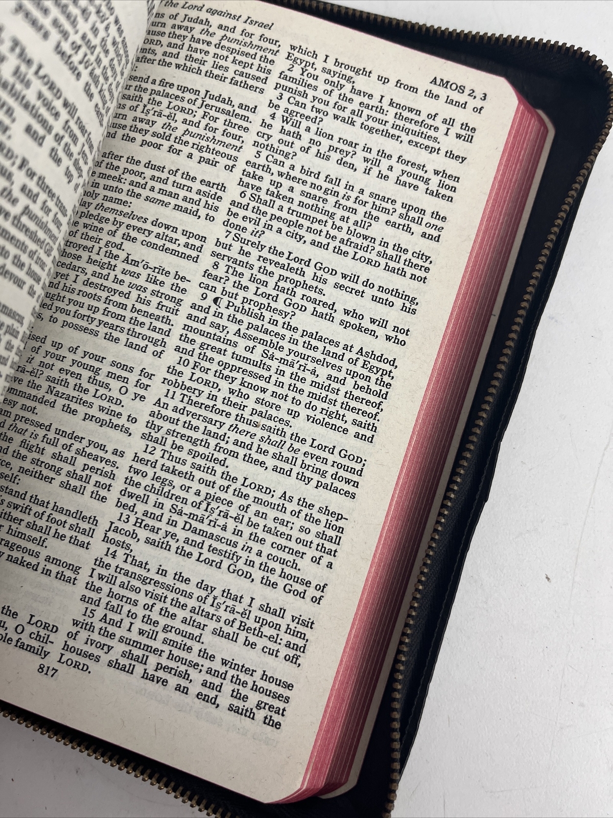 Bible KJV Zip Leather Original Tongues Antique VTG American Society