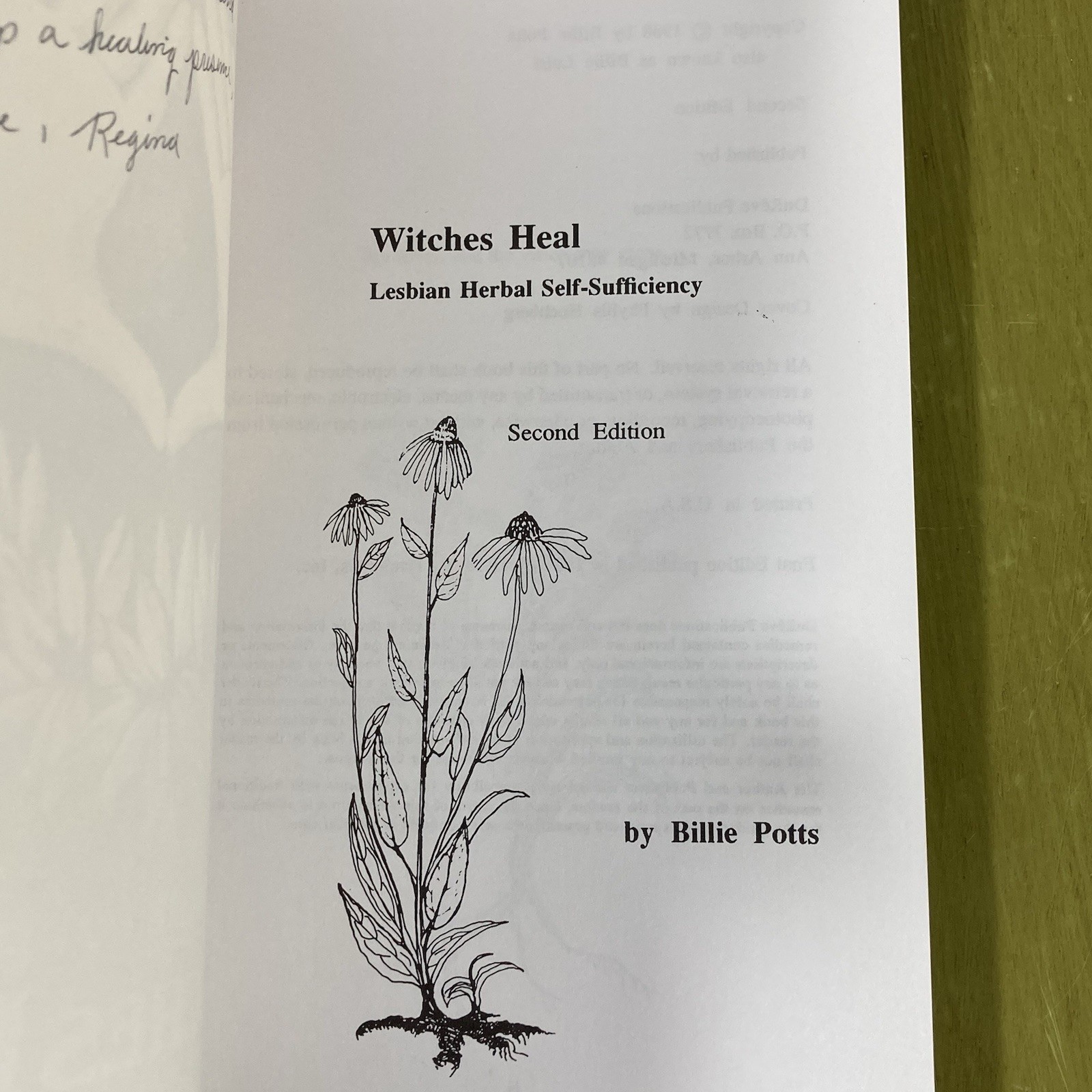 Witches Heal 2nd Ed Lesbian Herbal Self-Sufficiency Billie Potts Plant Healing