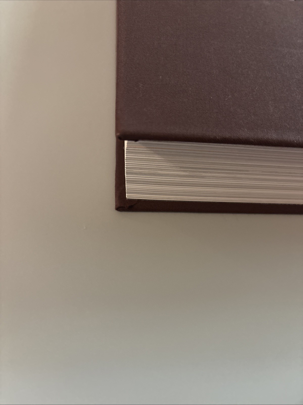 Louis Vuitton : The Birth of Modern Luxury Updated Edition by Louis Vuitton…