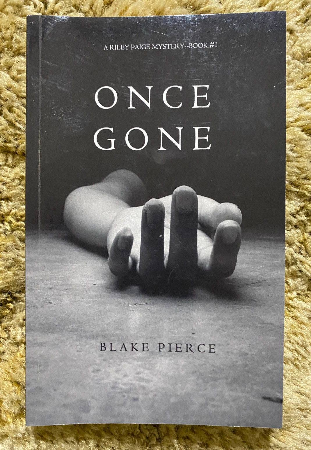 21 PB BOOK LOT BLAKE PIERCE 16 JESSE HUNT 4 AVERY BLACK 1 RILEY PAIGE