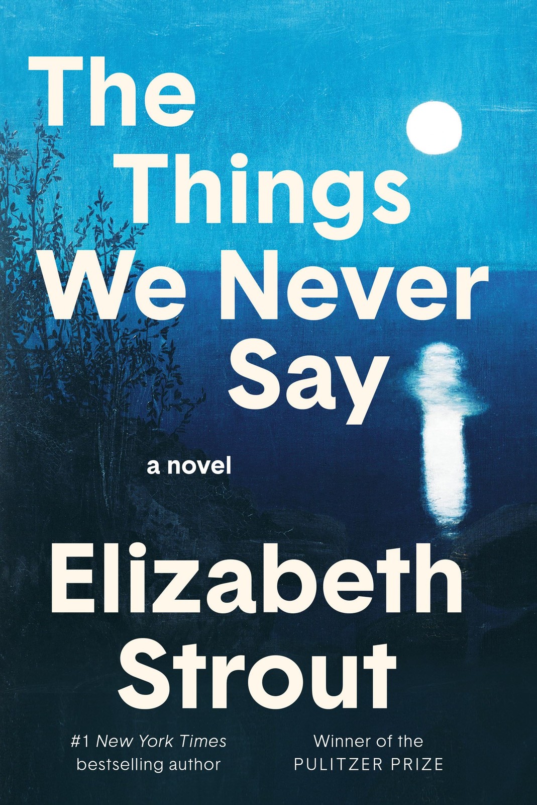 The Things We Never Say A Novel