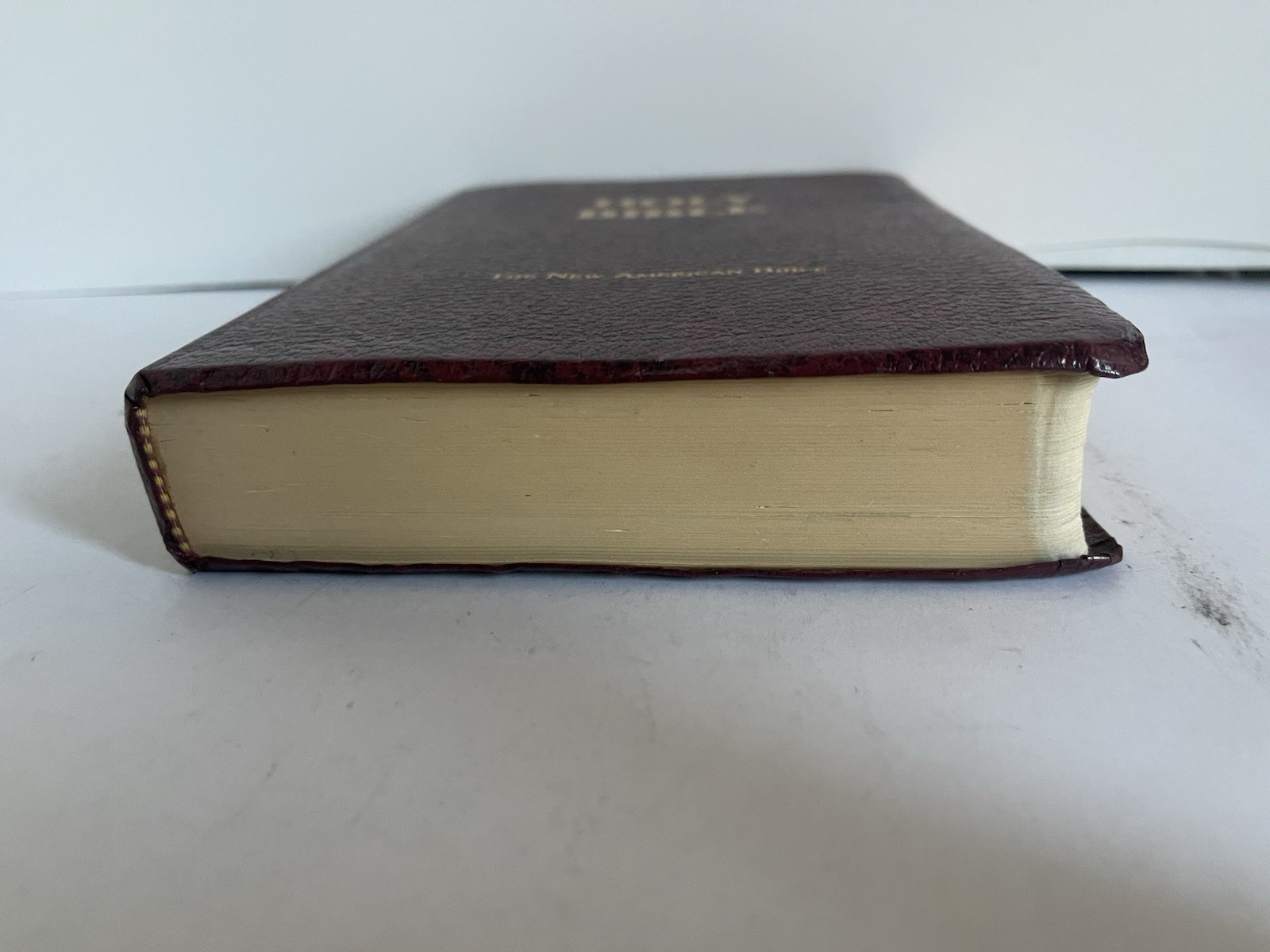 Bible NAB by Fireside Catholic Publishing 1994-1995 Edition Leather Bound