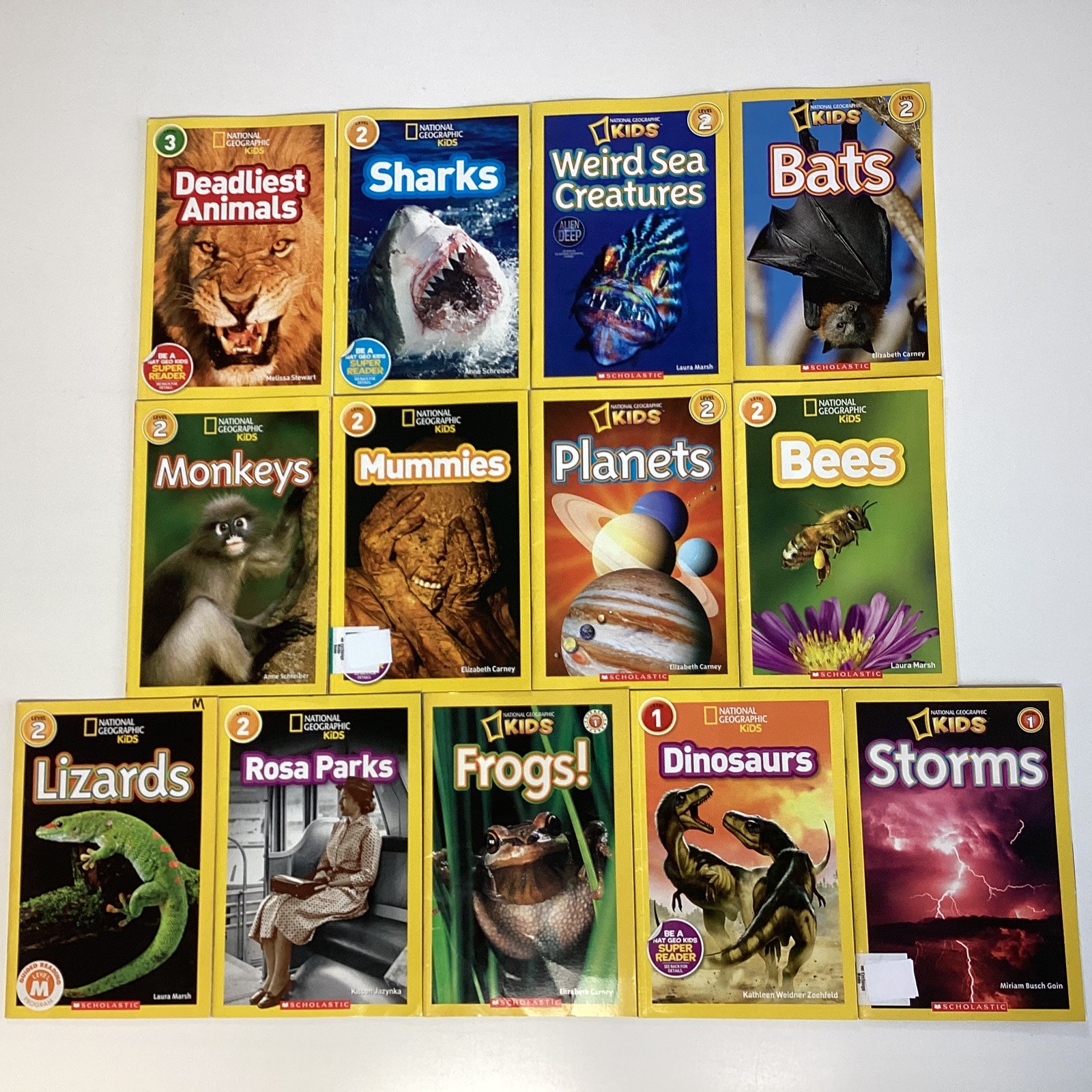 National Geographic Level 1, 2, 3 Science Readers 1st 2nd 3rd Grade 13 Book Lot