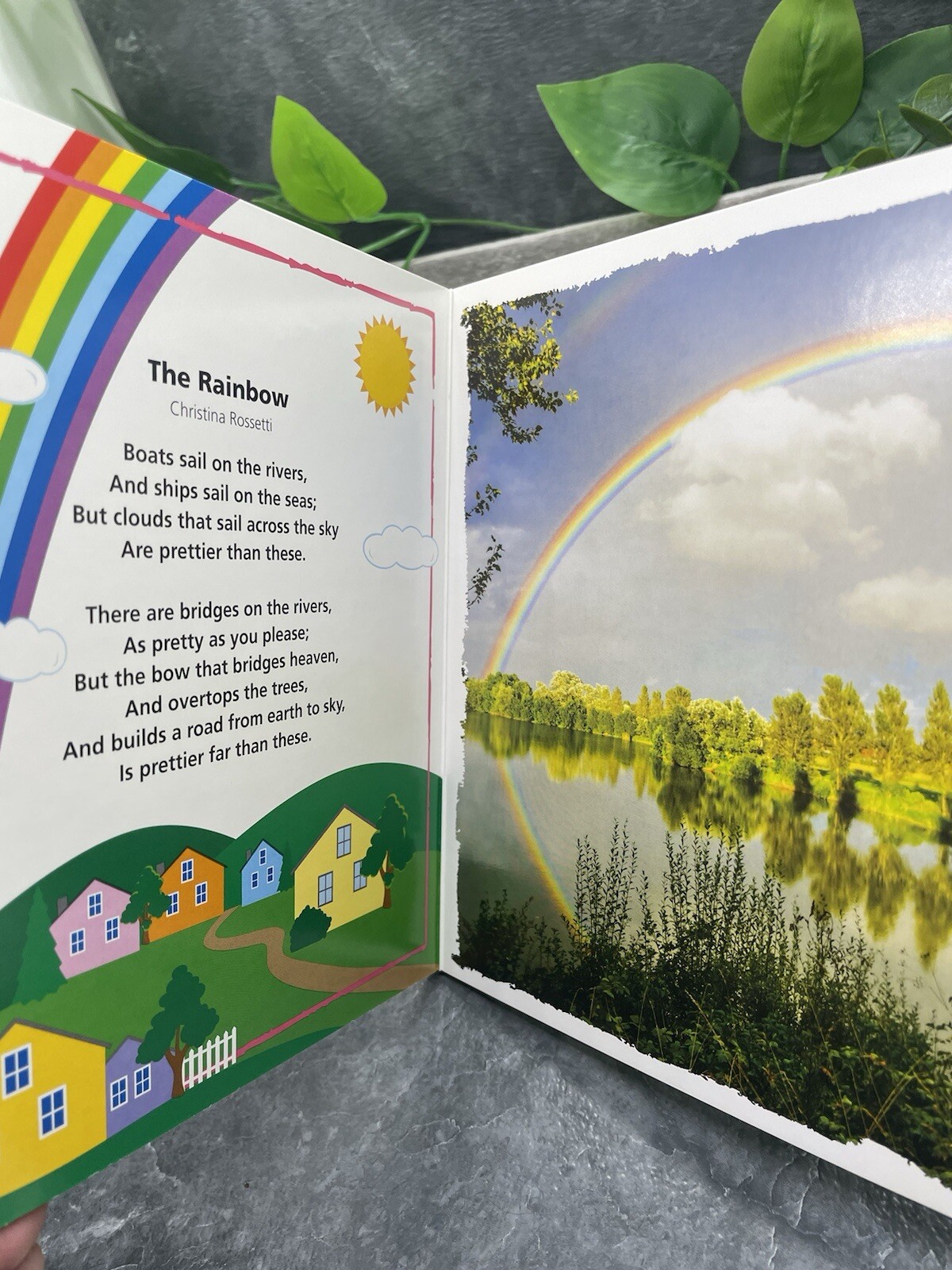 Baby Einstein Playful Discoveries Little Poems Board Book New Free Ship