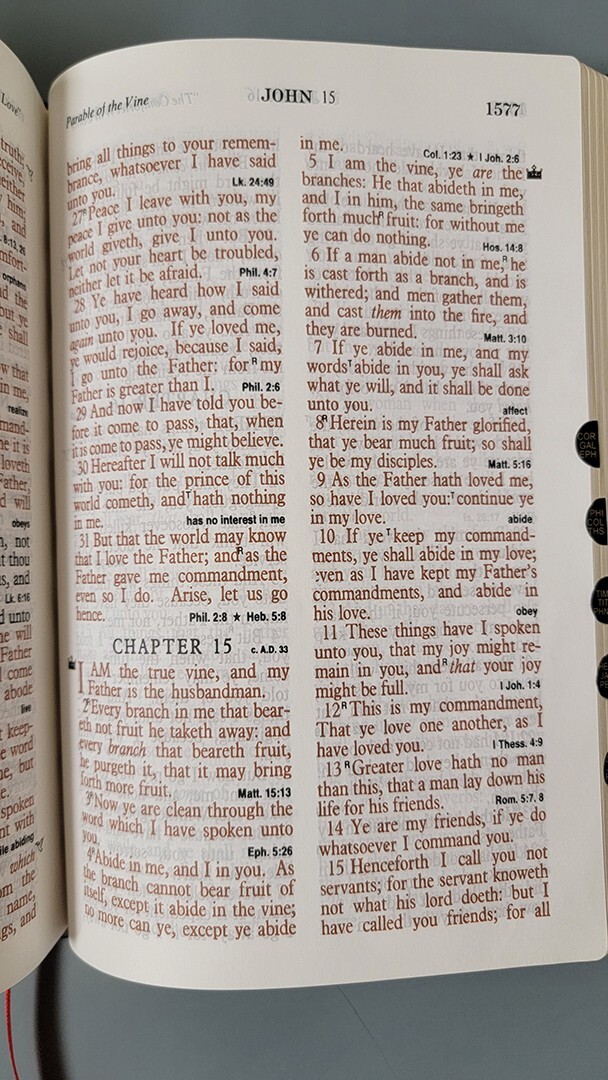 KING JAMES VERSION (KJV) STUDY BIBLE WITH DANIEL, REVELATION STUDY HELPS, MORE!!