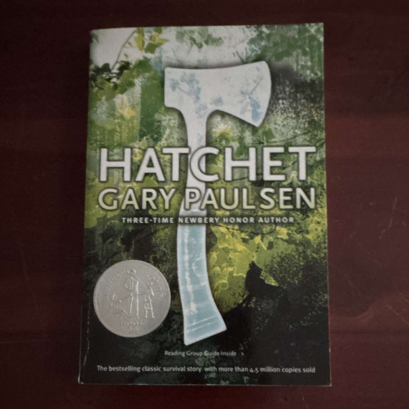 Gary Paulsen Hatchet 2006 Trade Paperback Simon & Schuster Survival Fiction